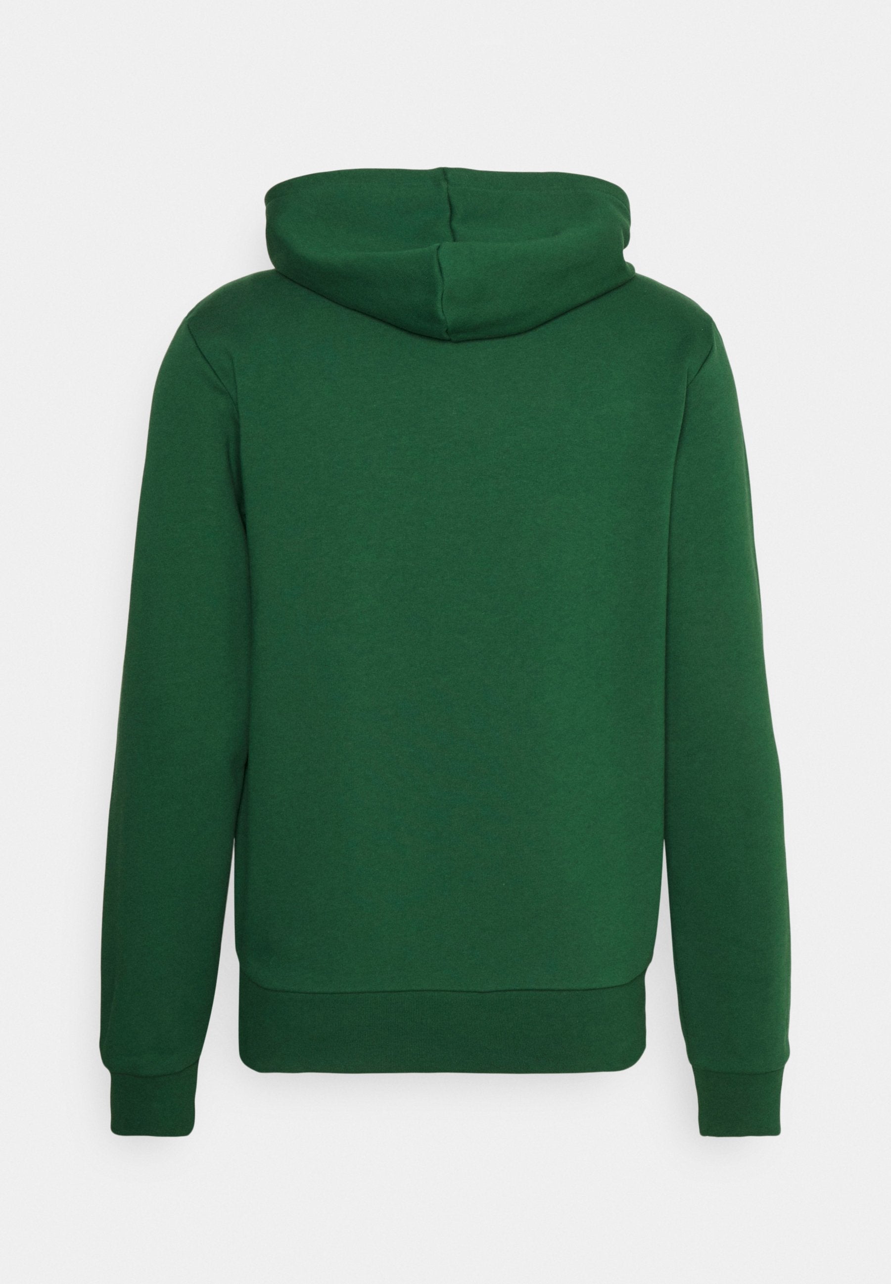 UNISEX - Hoodie - vert