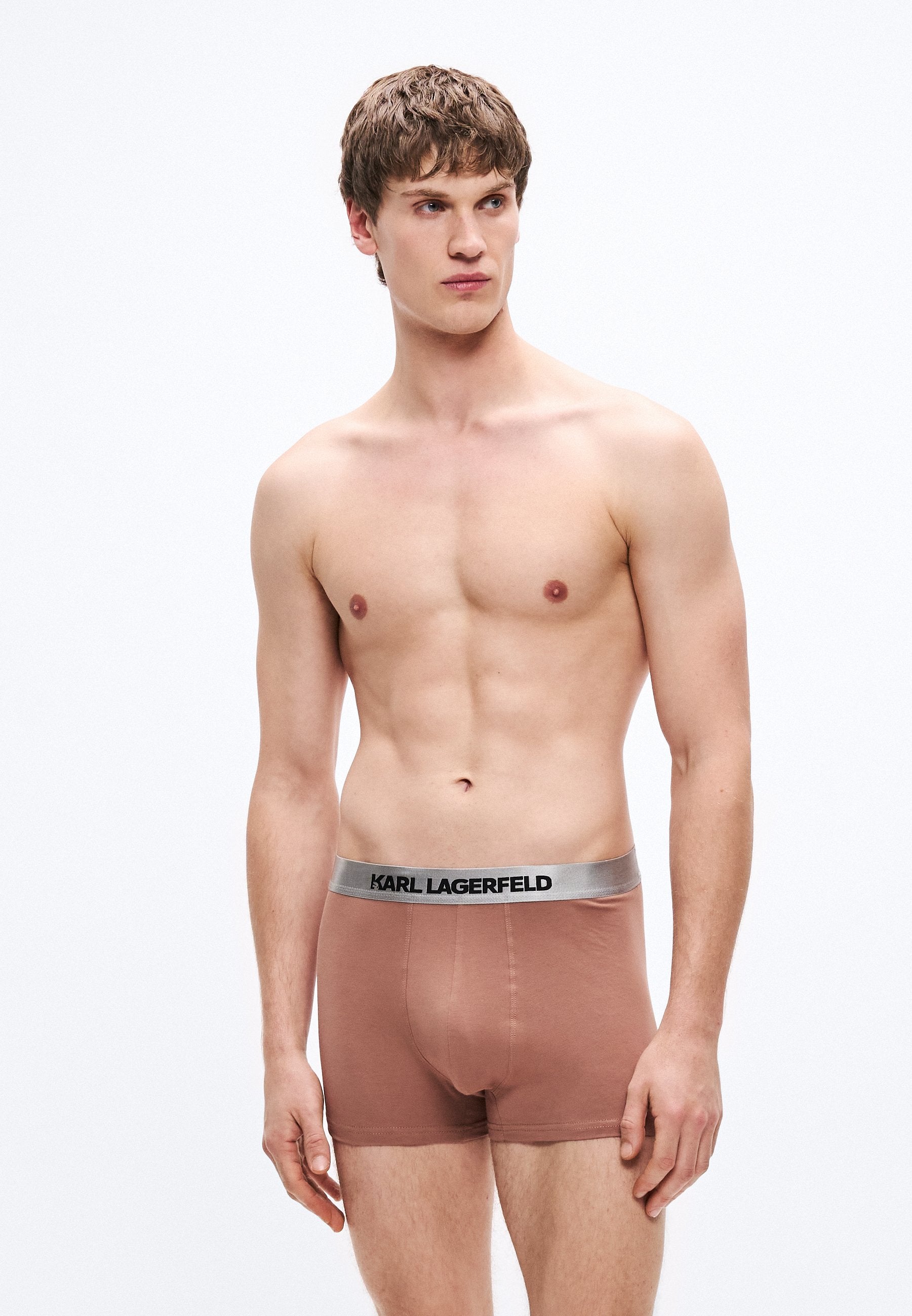 METALLIC TRUNK 3 PACK - Trunks - navy/coffee/malt