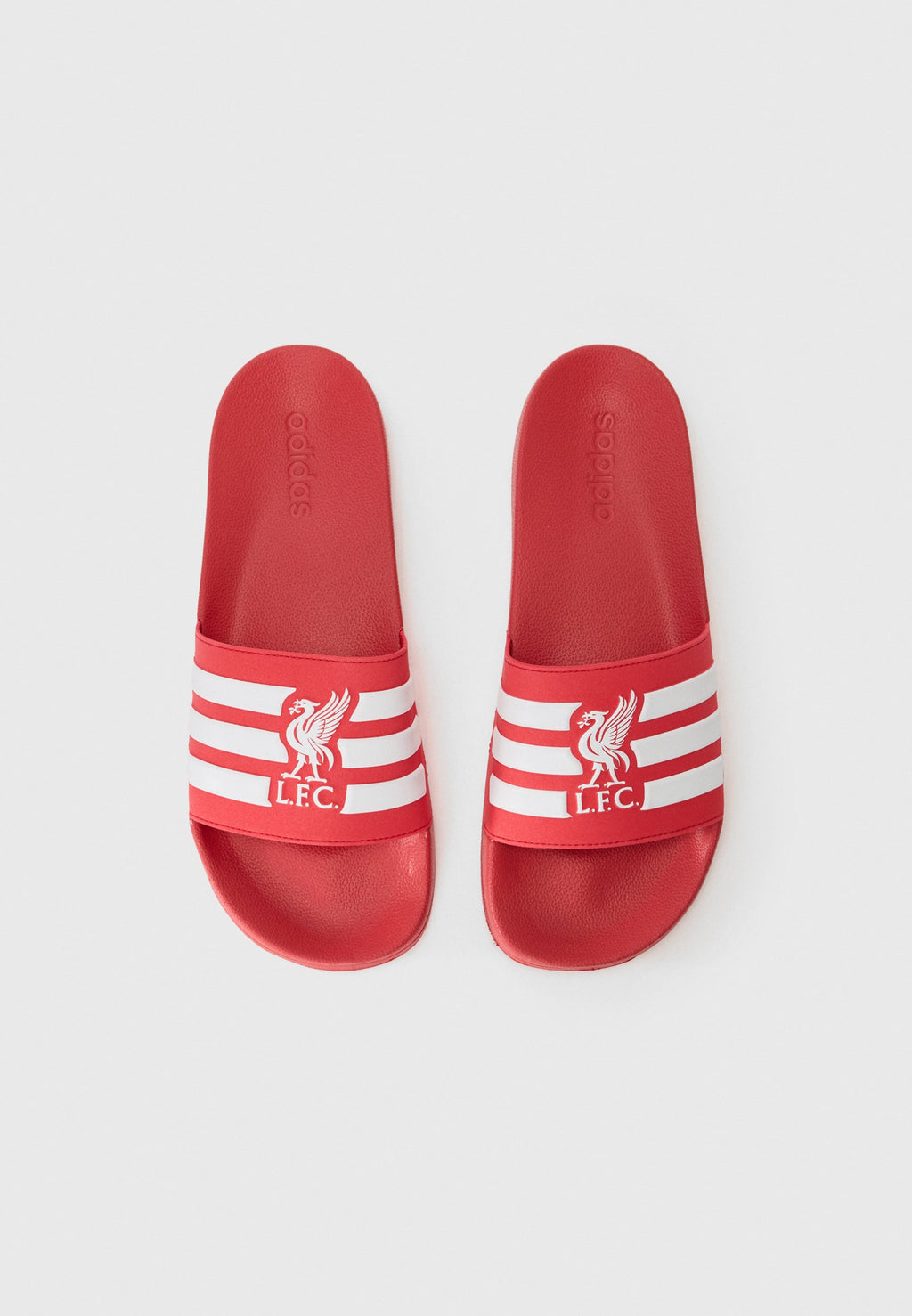 ADILETTE SHOWER LIVERPOOL UNISEX  - Pool slides - red/white