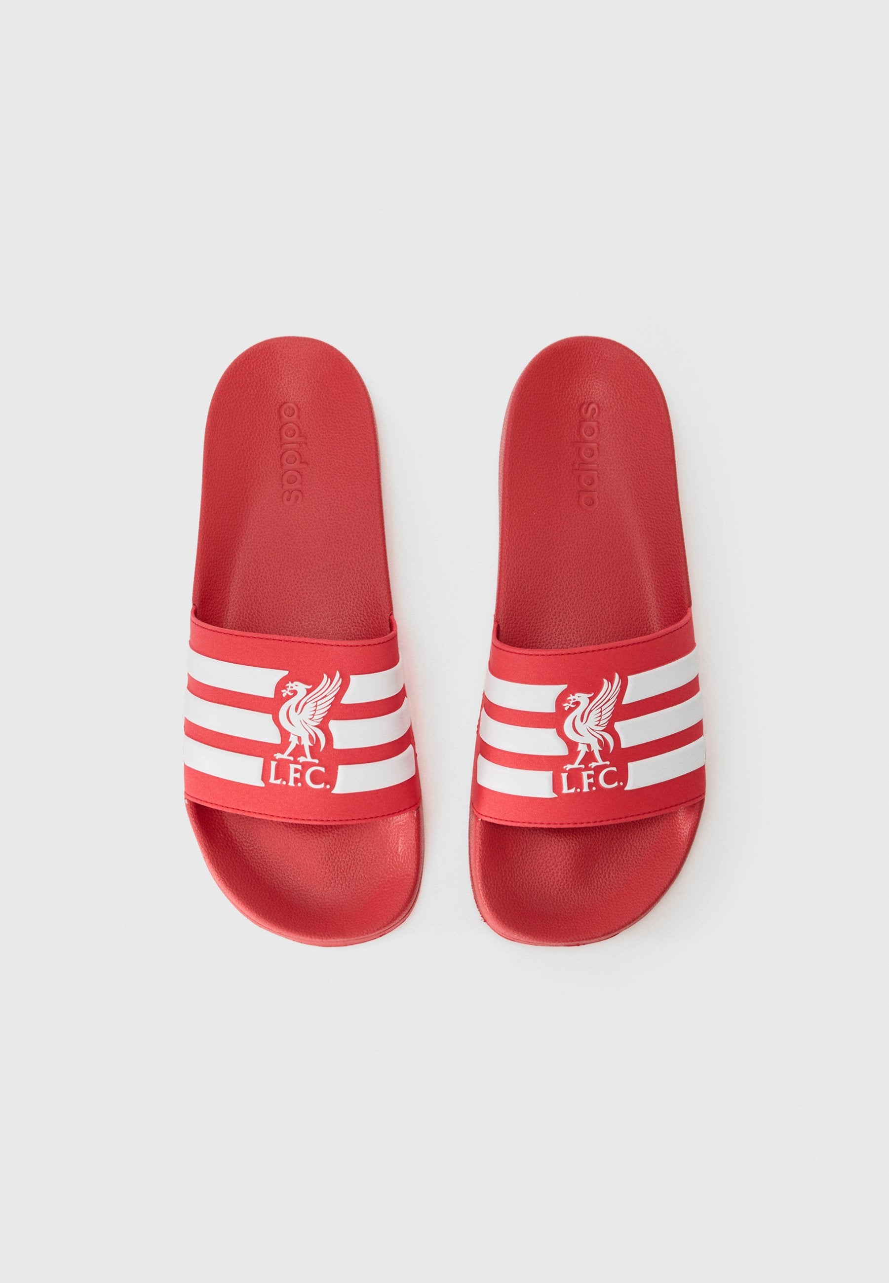 ADILETTE SHOWER LIVERPOOL UNISEX  - Pool slides - red/white