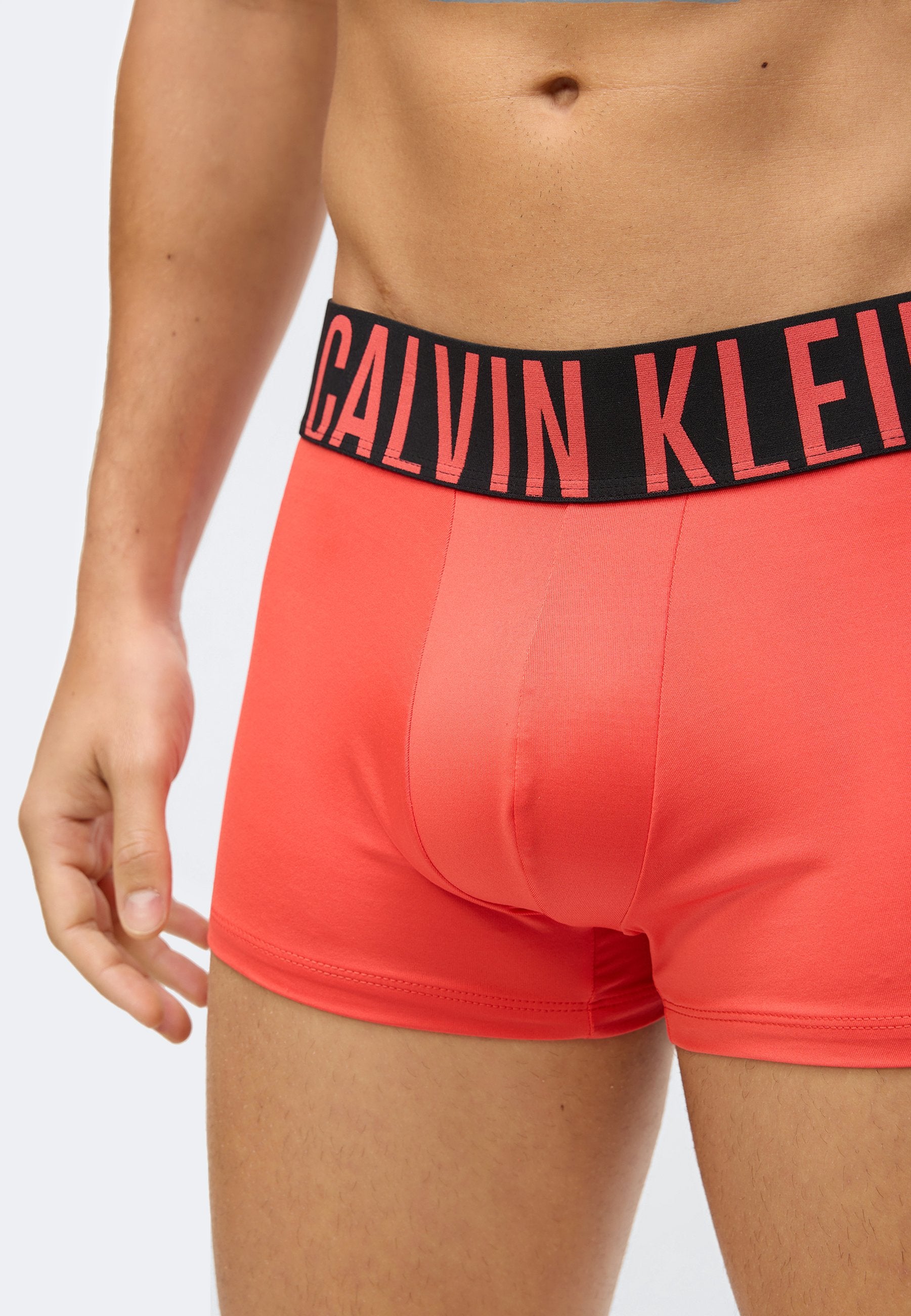 TRUNK 3 PACK INTENSE POWER MICROFIBER - Trunks - black/turbulence/vermillion brown