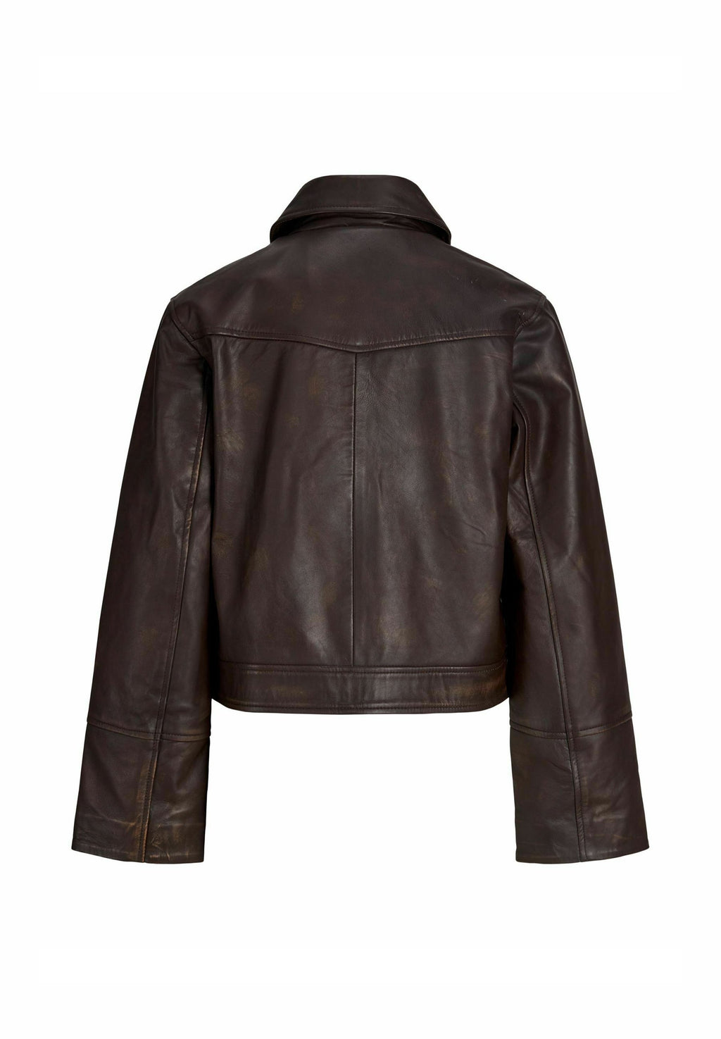 Leather JXSIF Leather - Leather jacket - bracken