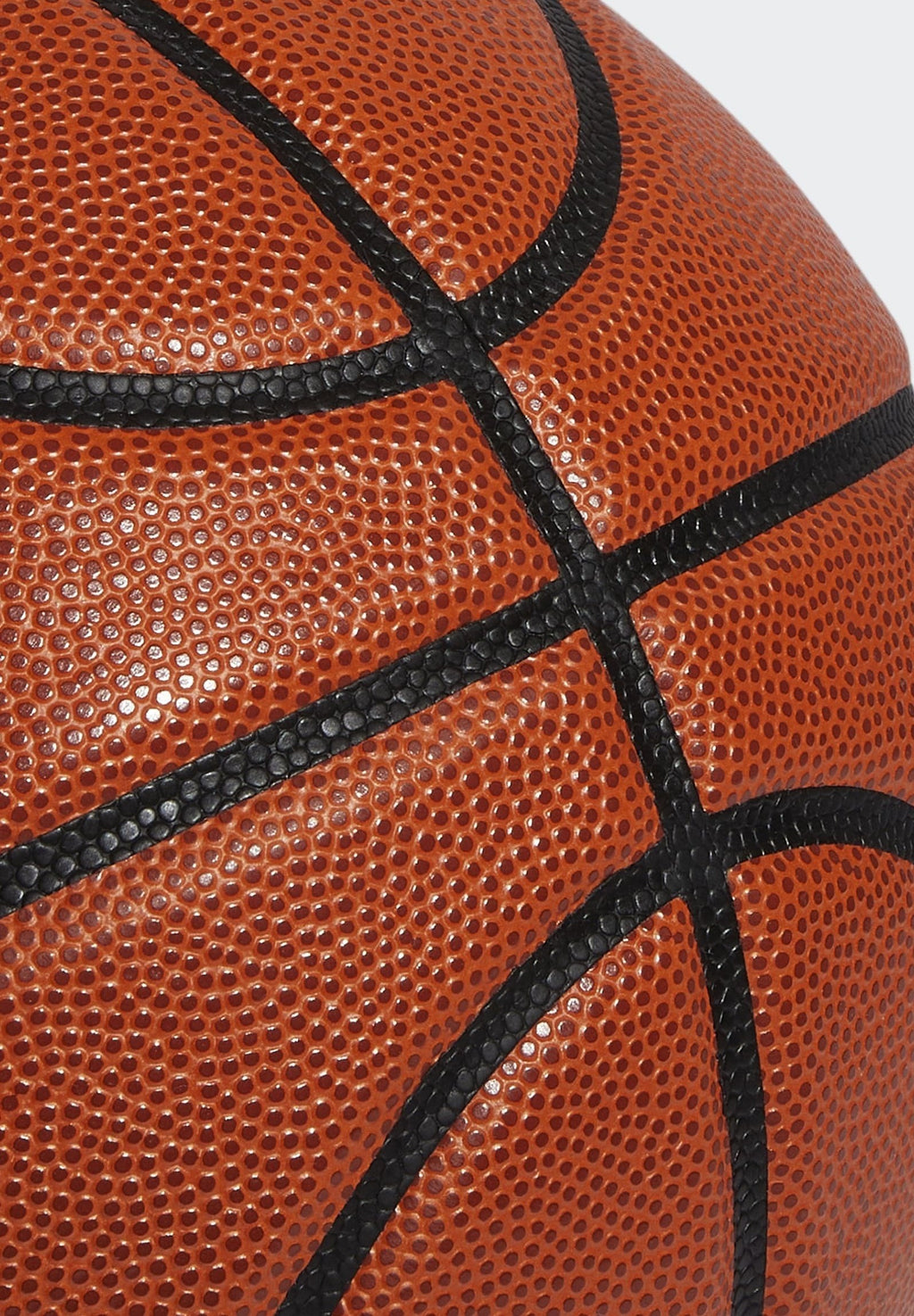 ALL COURT 3.0 - Basketball - orange