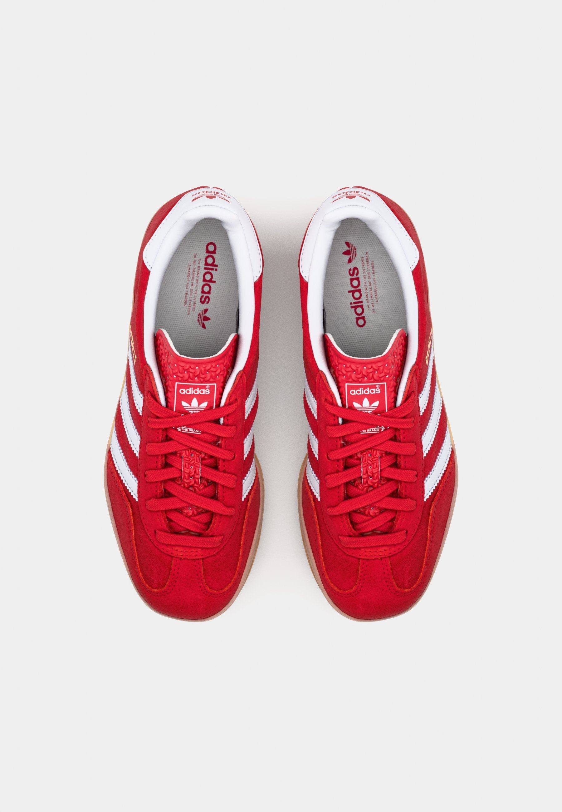 GAZELLE INDOOR UNISEXE - Baskets - better scarlet/footwear white