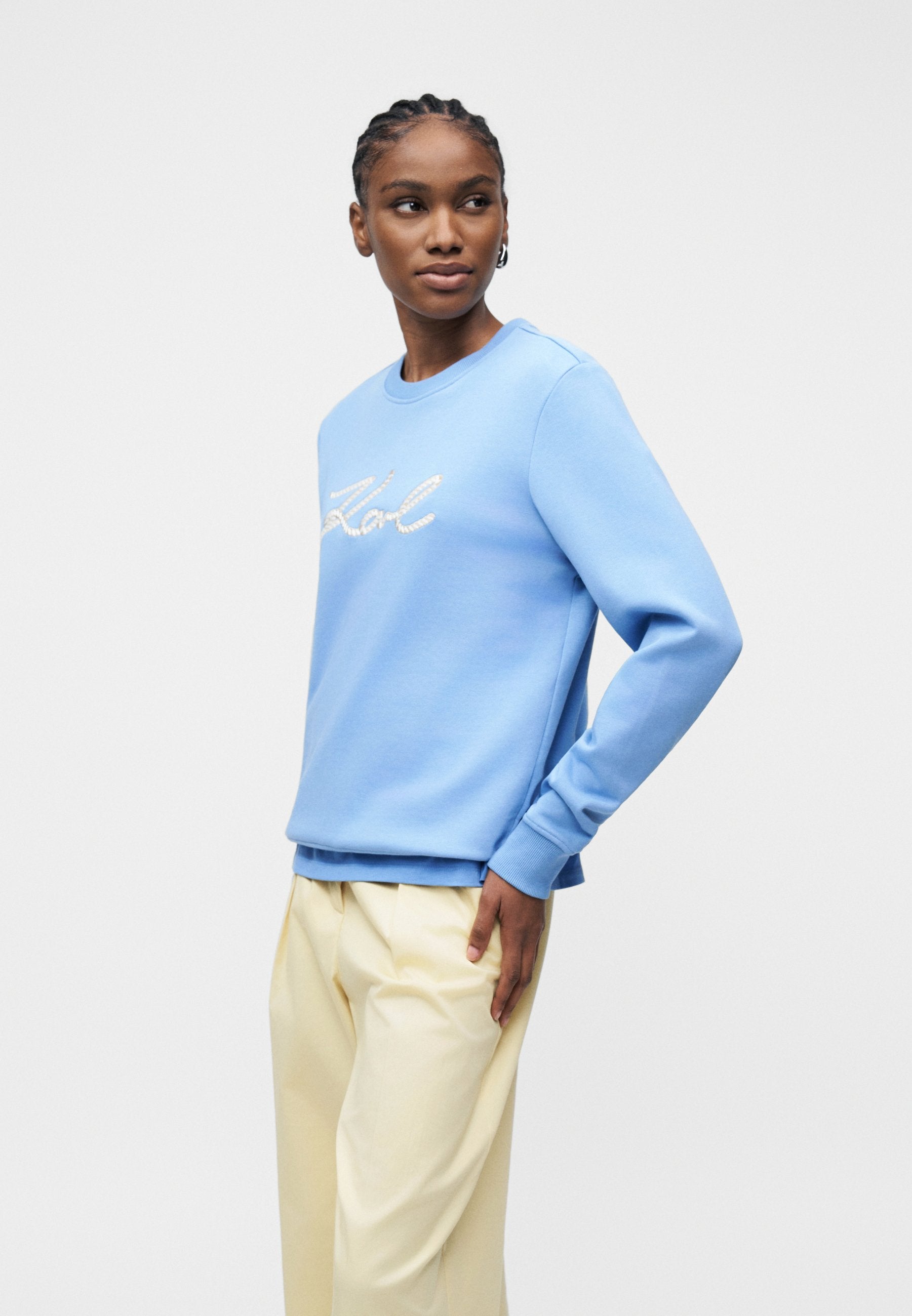 ROPE LOGO - Sweatshirt - silver-coloured lake blue
