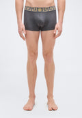 UNDERPANTS LOW RISE TRUNK - Trunks - grey/gold-coloured
