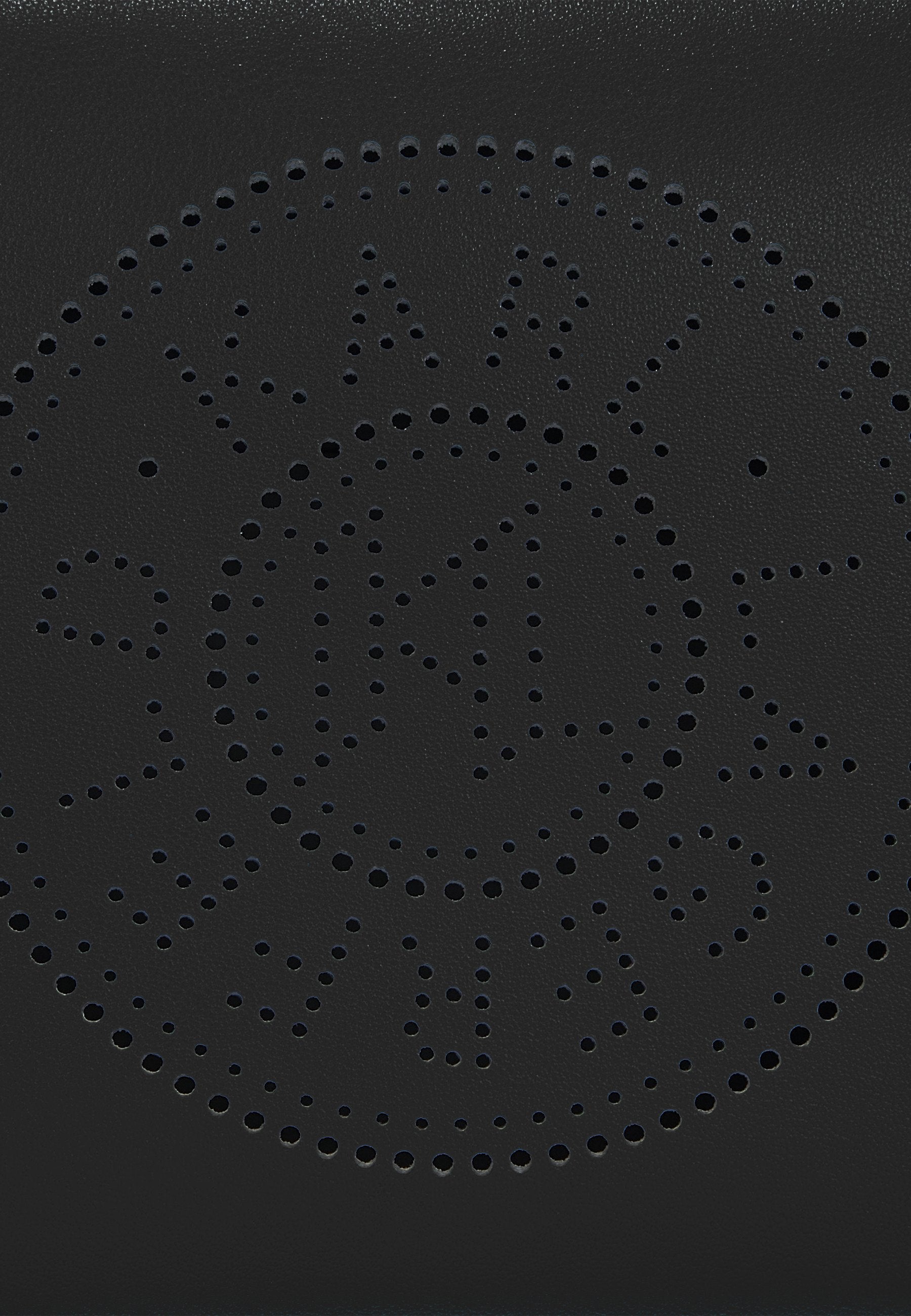 CIRCLE CAMERA BAG - Cross body bag - black-nickel