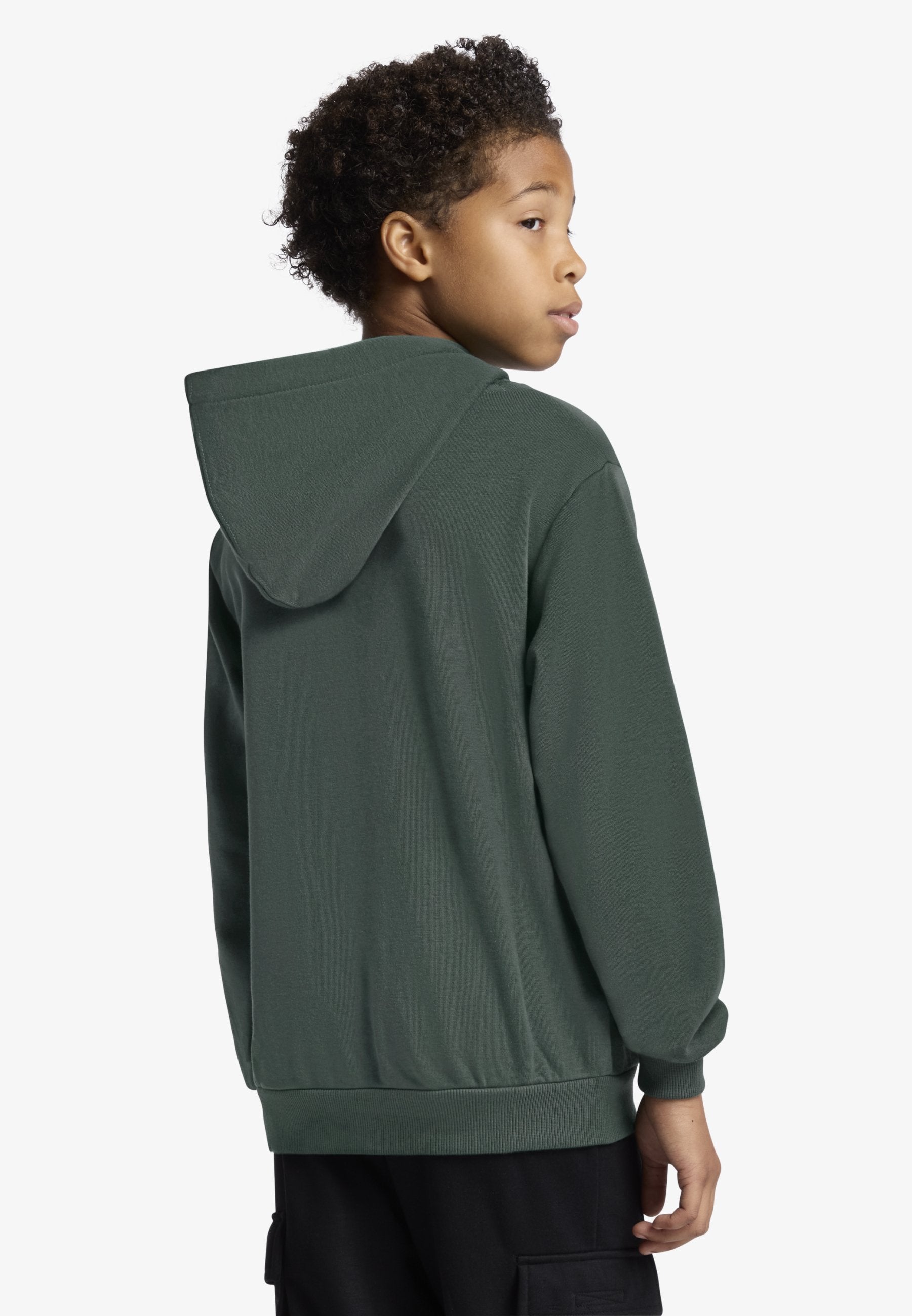 DISSECTED  - Hoodie - branch out