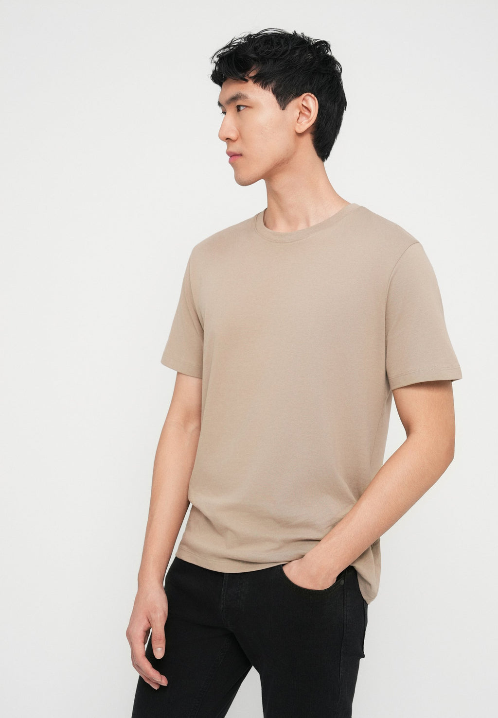 JJEORGANIC BASIC TEE O NECK 5 PACK - T-shirt basique - moonbeam/crockery/olive night/castlerock/ultimate grey