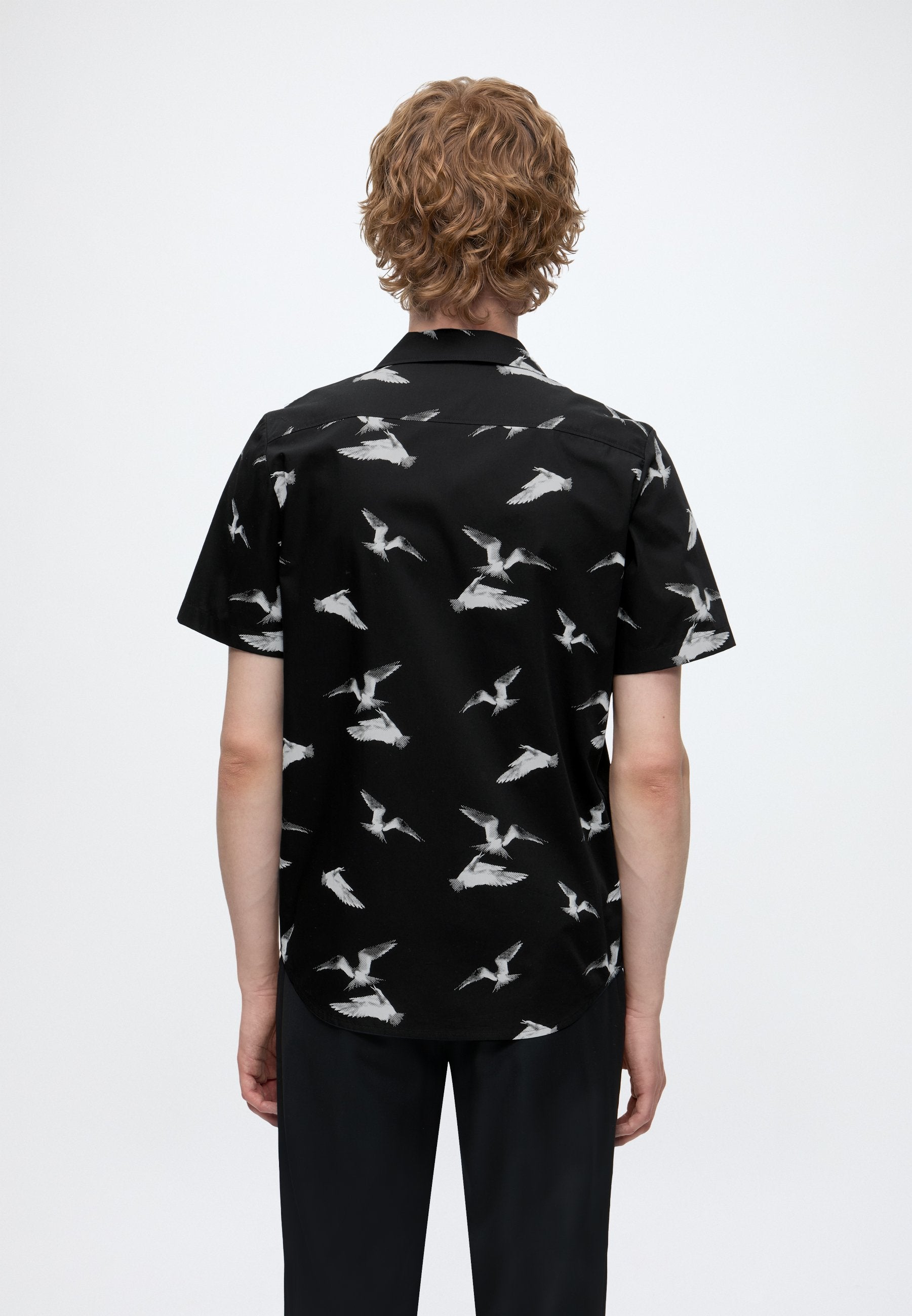 ELLINO - Shirt - black