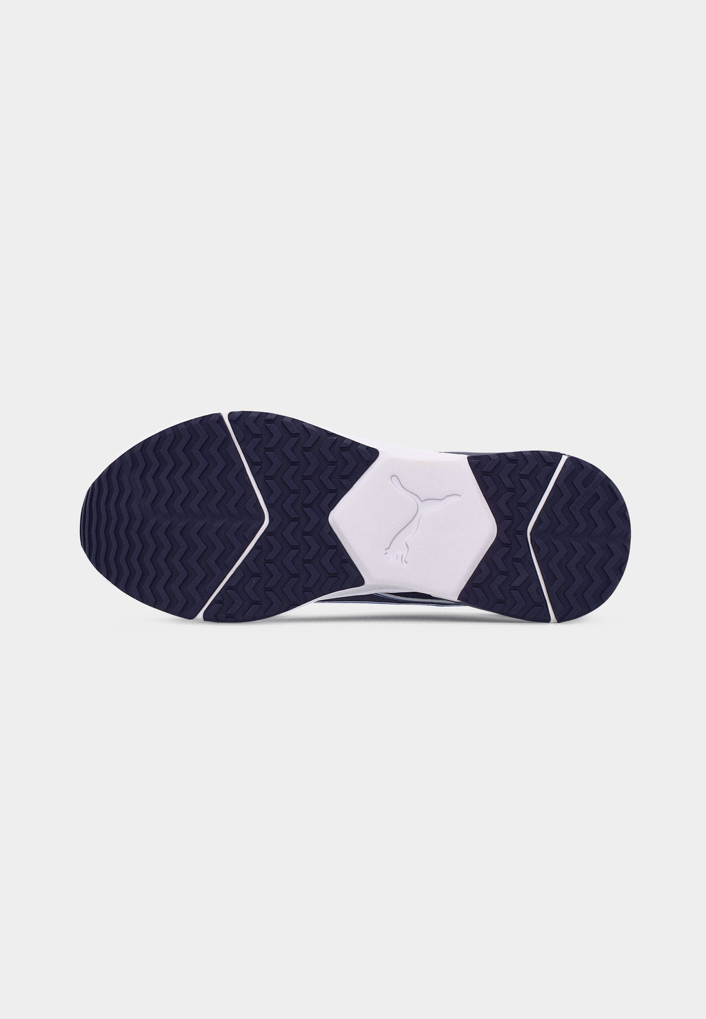 DISPERSE XT 4 - Training shoe - deep plum/royal sapphire/silver-coloured mist