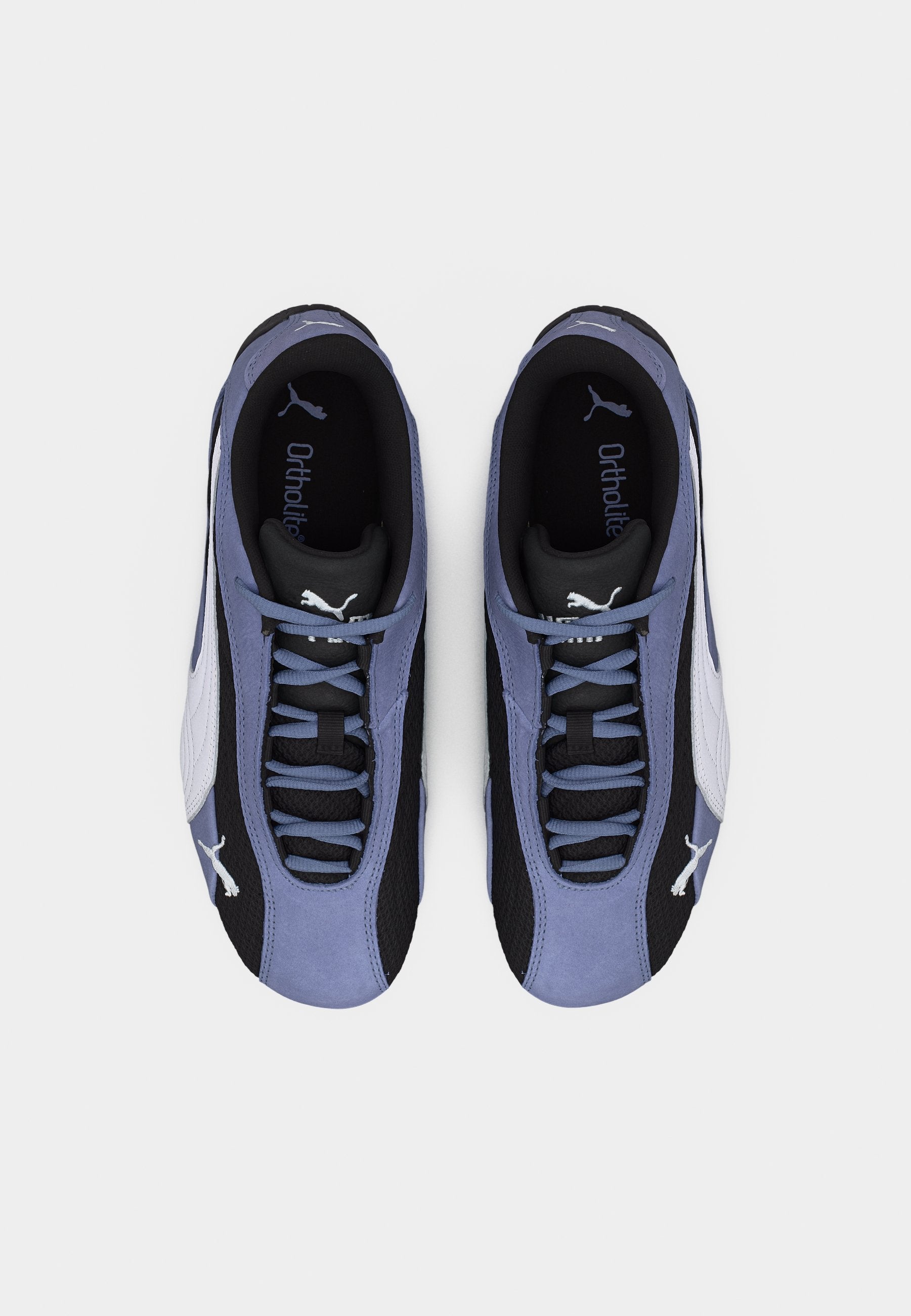 SPEEDCAT PLUS UNISEX - Antrenman Ayakkabısı - gri gökyüzü/siyah