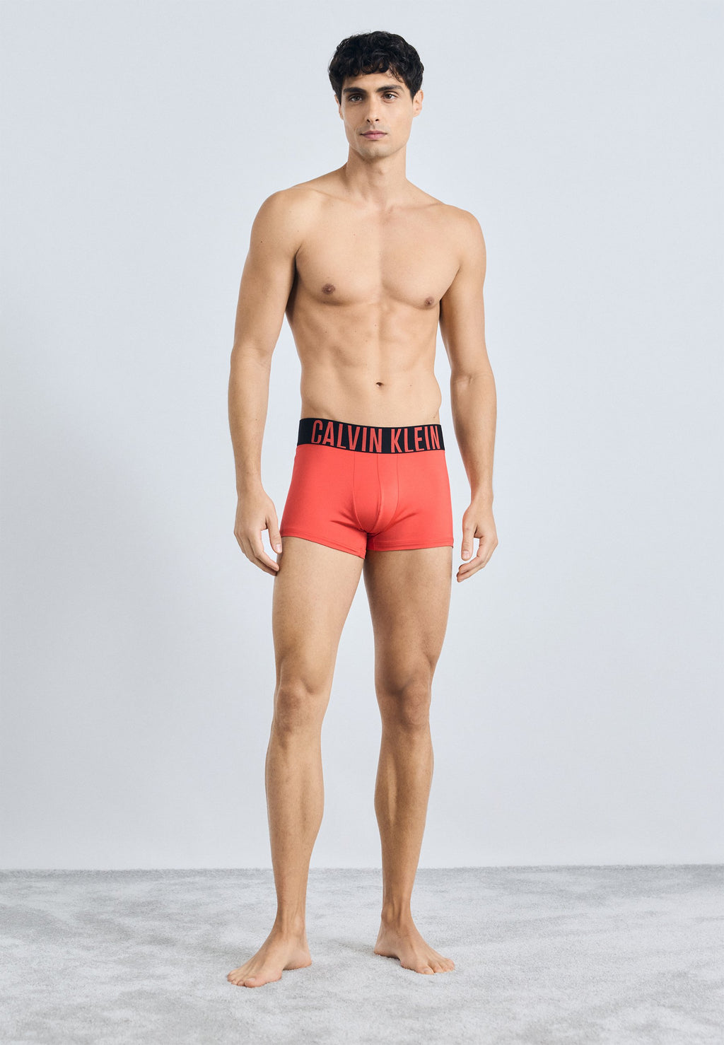 TRUNK 3 PACK INTENSE POWER MICROFIBER - Trunks - black/turbulence/vermillion brown