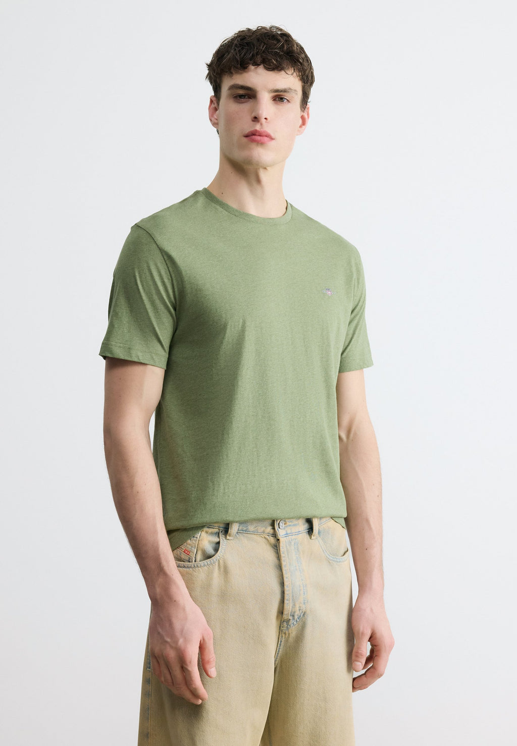 REG SHIELD SS T-SHIRT - Basic T-shirt - dark cactus melange