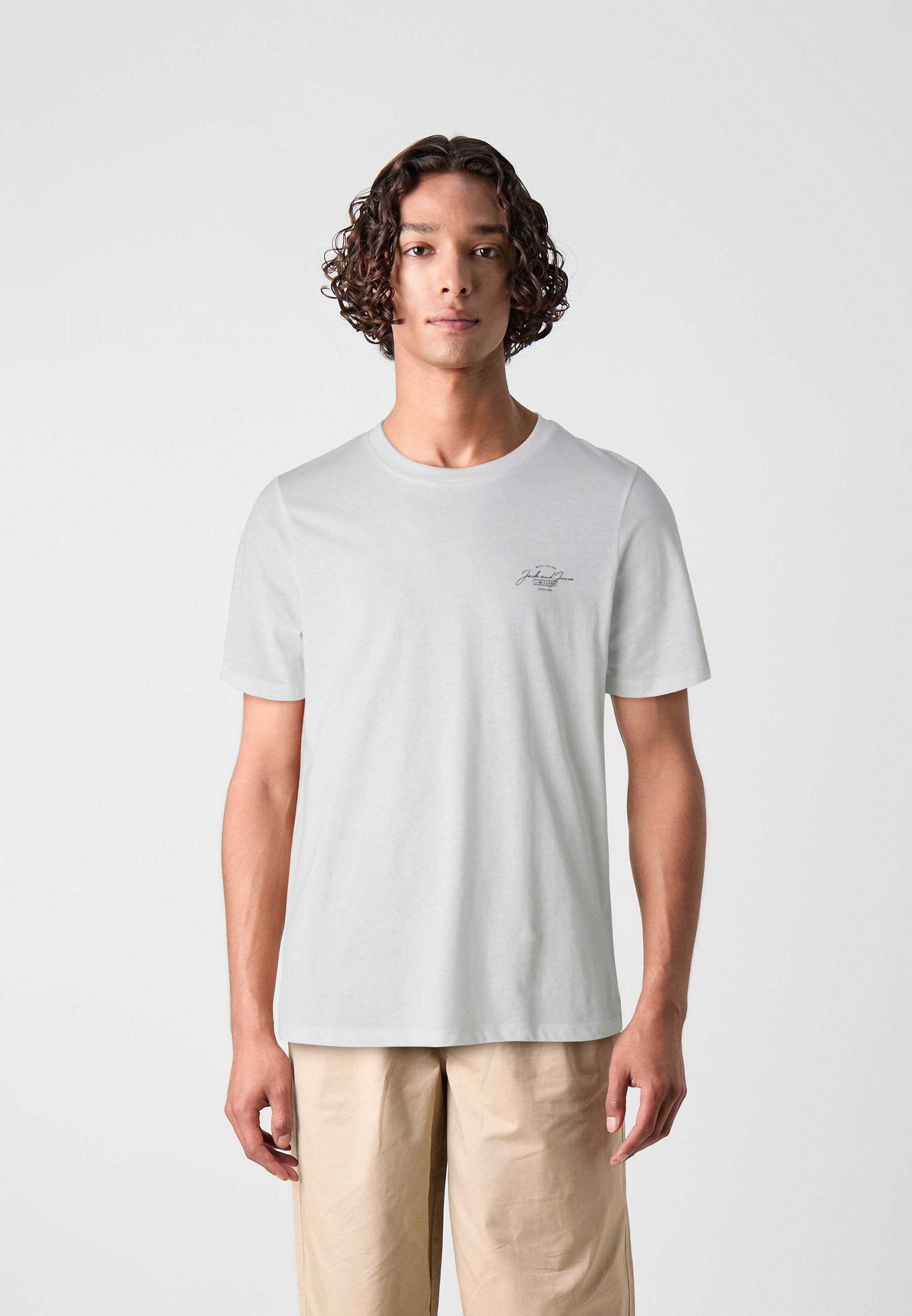 JJFERRIS TEE CREW NECK 3 PACK - Basic T-shirt - green/white/black