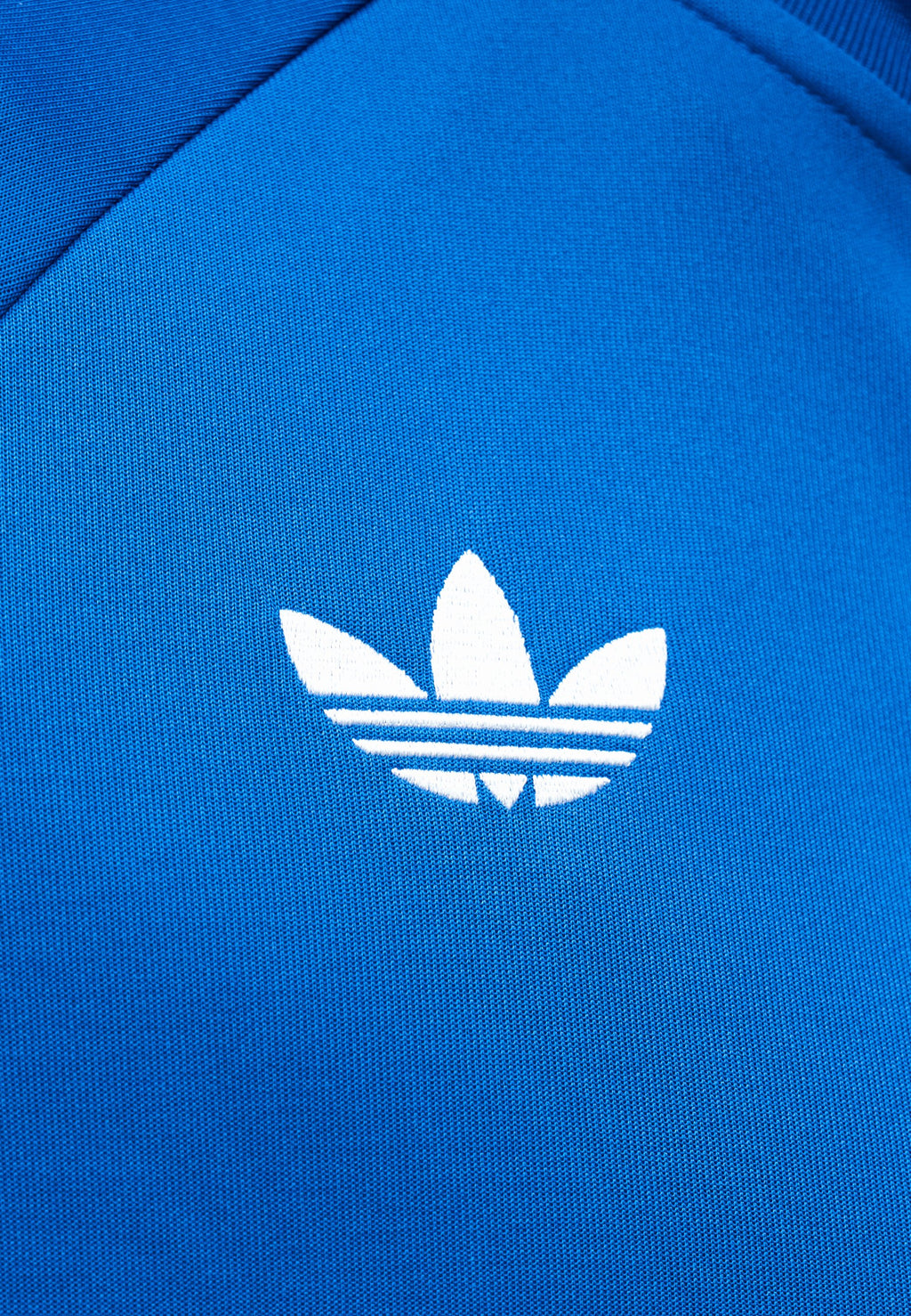 ARGENTINA - Training jacket - lucid blue