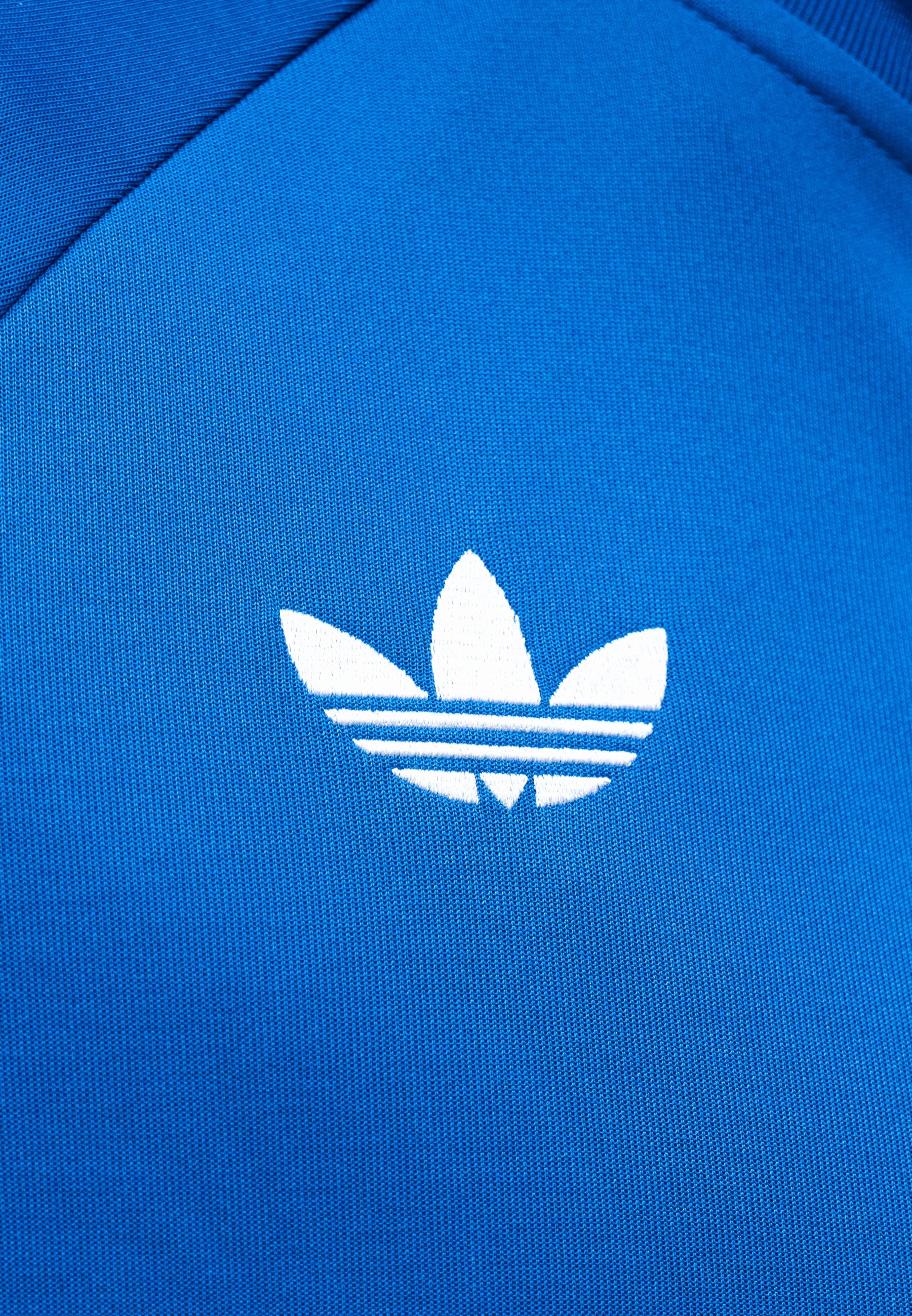 ARGENTINA - Training jacket - lucid blue