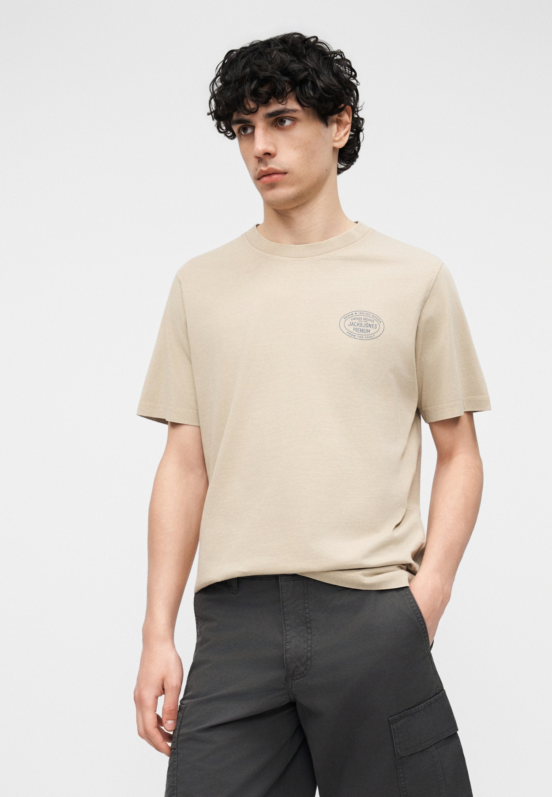 JPRBLUFELIX TEE - Basic T-shirt - humus