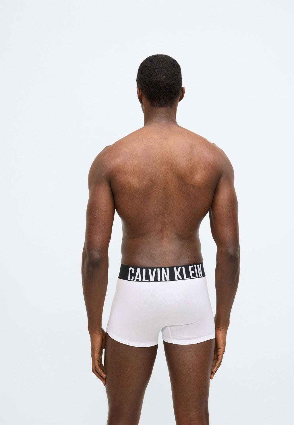 TRUNK INTENSE POWER COTTON 3 PACK - Trunks - turbulence/white/iris bliss