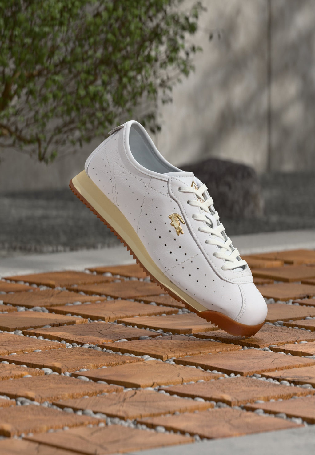 CLUB LOW 126 - Trainers - white