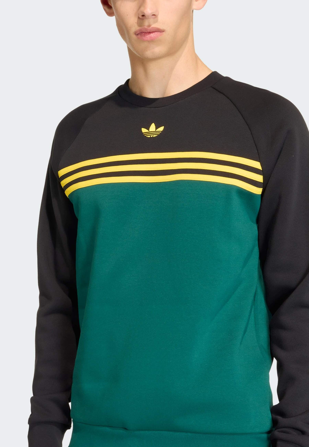 STRIPES CREW - Sweatshirt - collegiate green/black