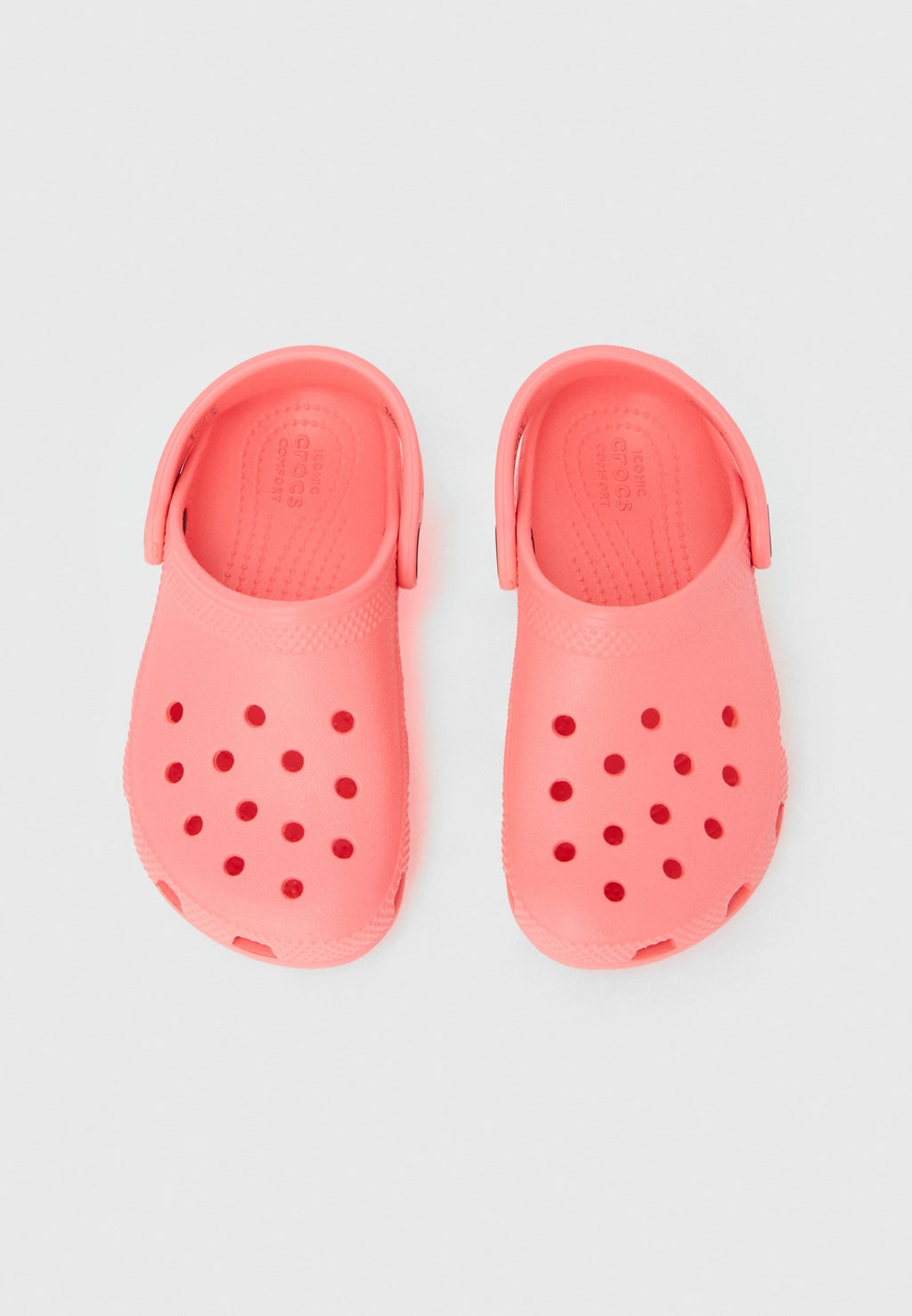 CLASSIC - Clogs - guava