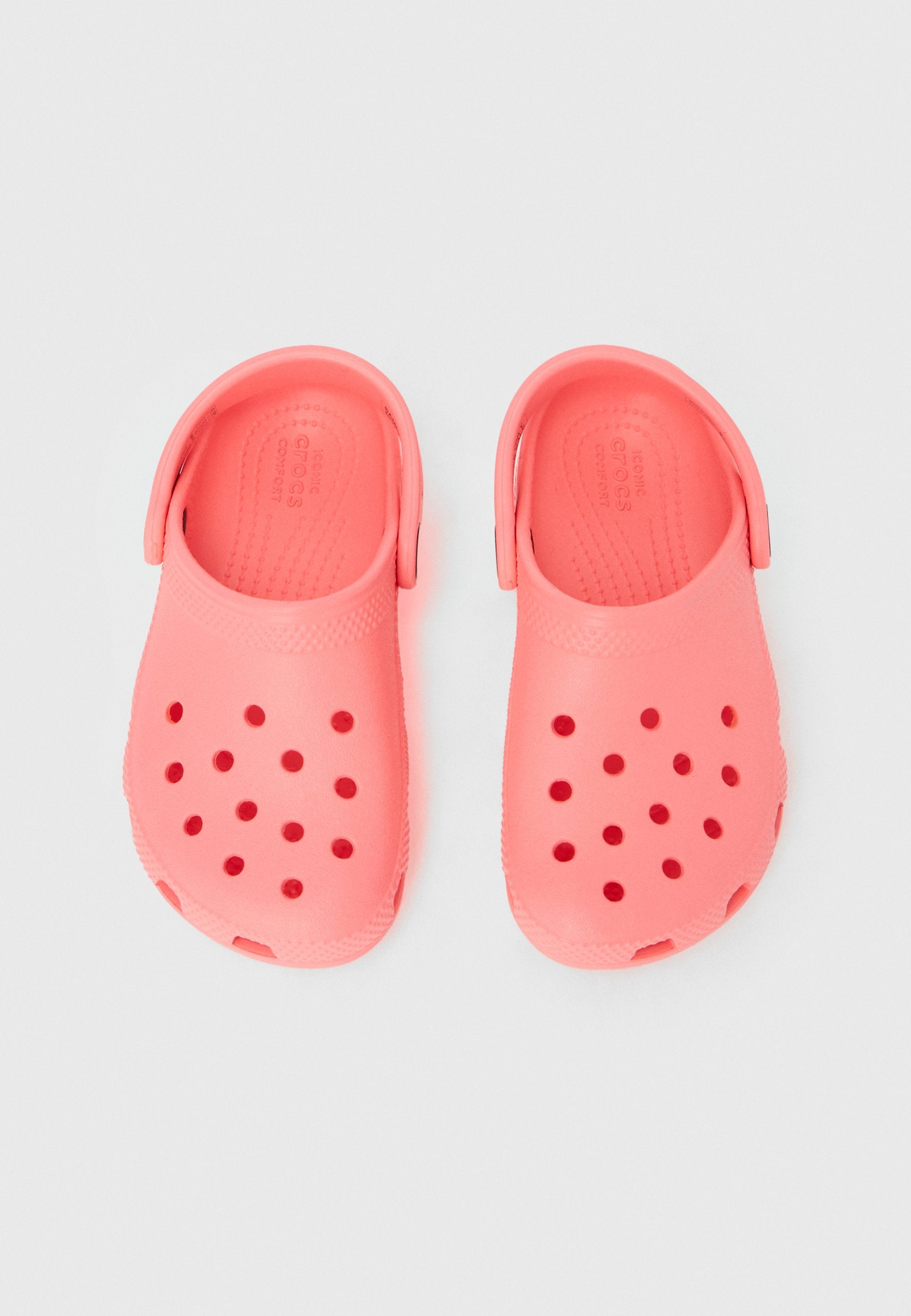 CLASSIC - Clogs - guava