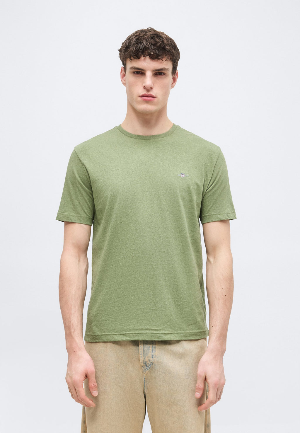 REG SHIELD SS T-SHIRT - Basic T-shirt - dark cactus melange