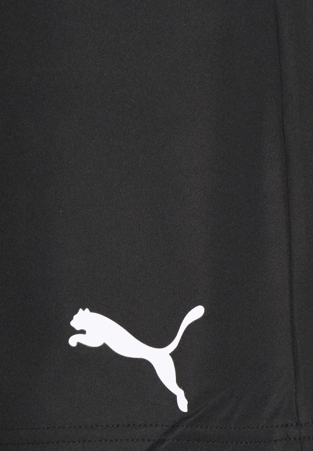 TEAMRISE TRAINING SHORTS - Sports shorts - black/white