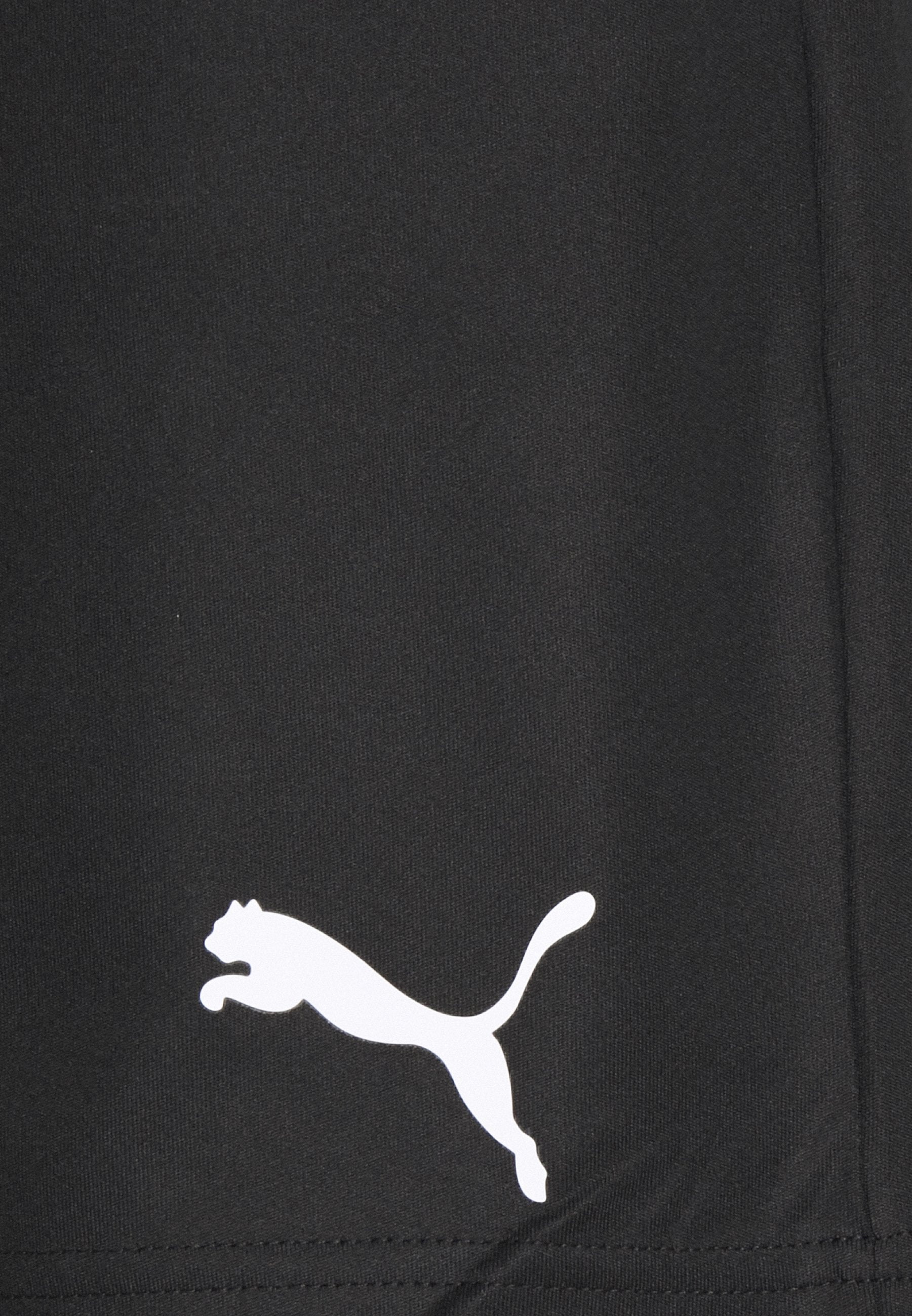 TEAMRISE TRAINING SHORTS - Sports shorts - black/white