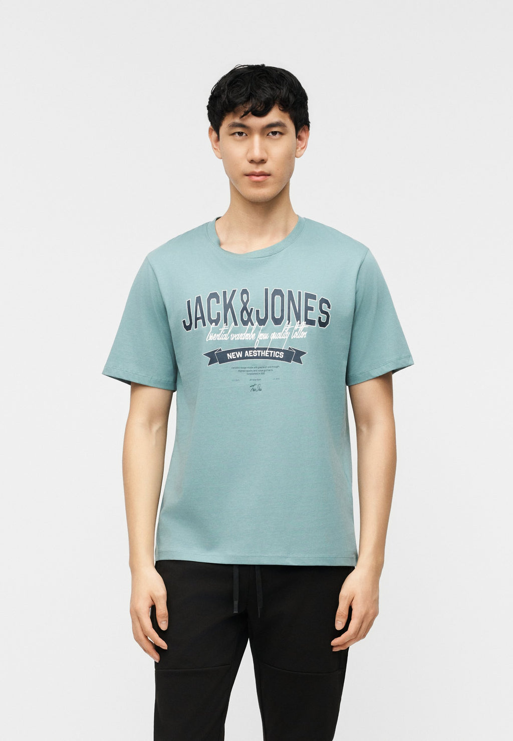 JJELOGO TEE O NECK 5 PACK - Print T-shirt - vetiver/blue mirage/mineral blue/atlantic deep/navy blazer