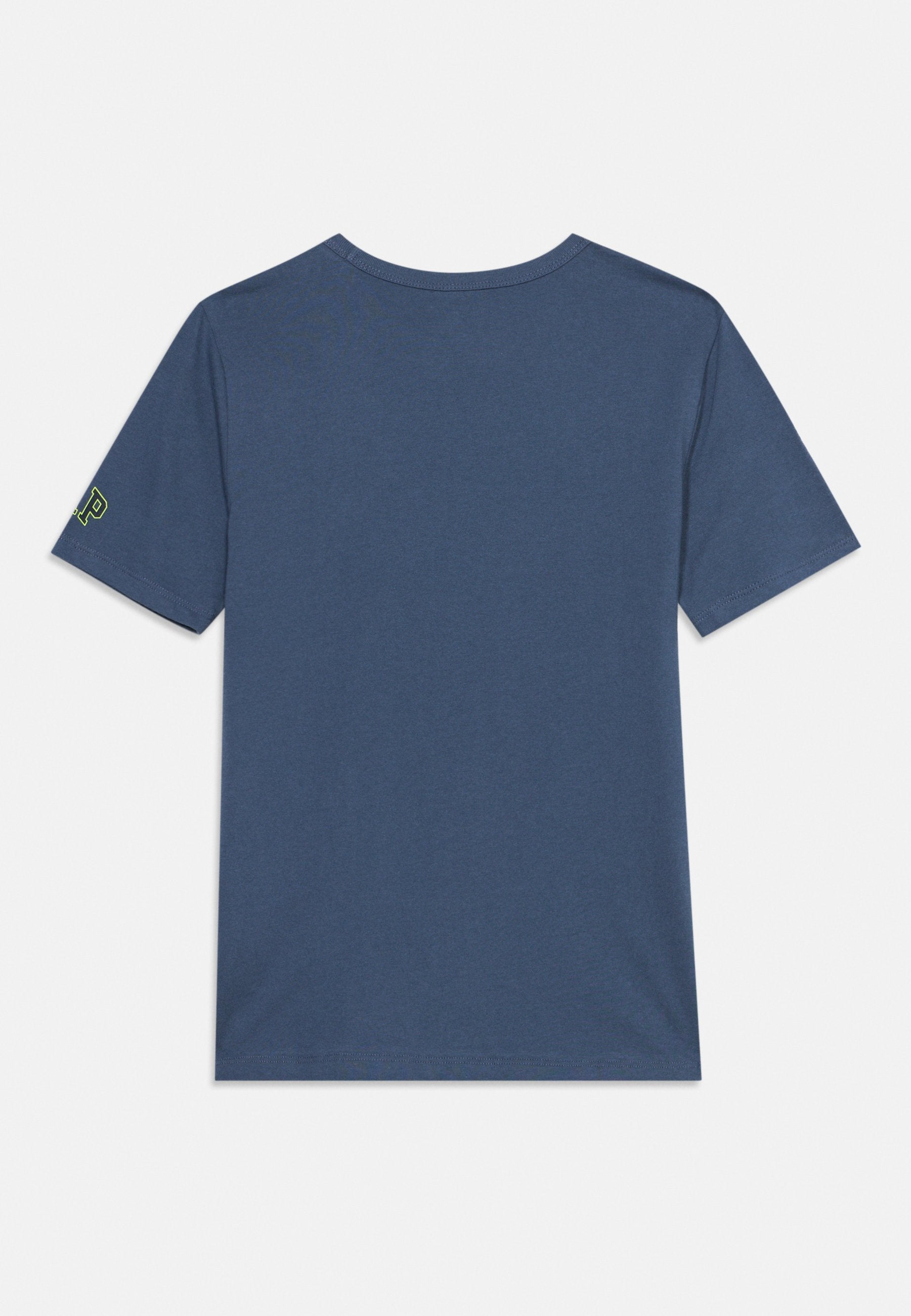Print T-shirt - blue ridge