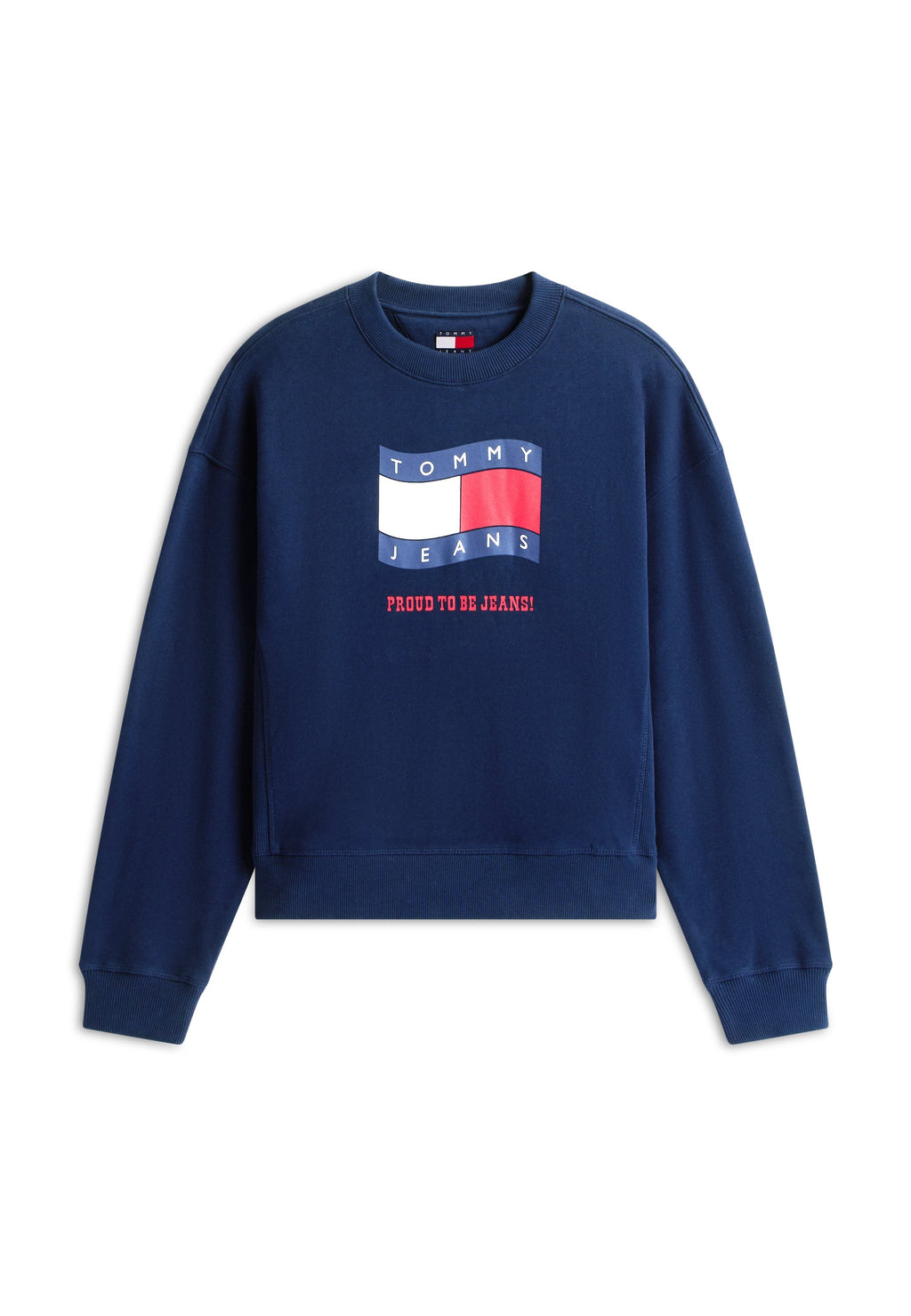 SWEAT-SHIRT AMPLE EN TERRY SUÉDÉ ET DRAPEAU VAGUE - Sweat-shirt - bleu nuit profond