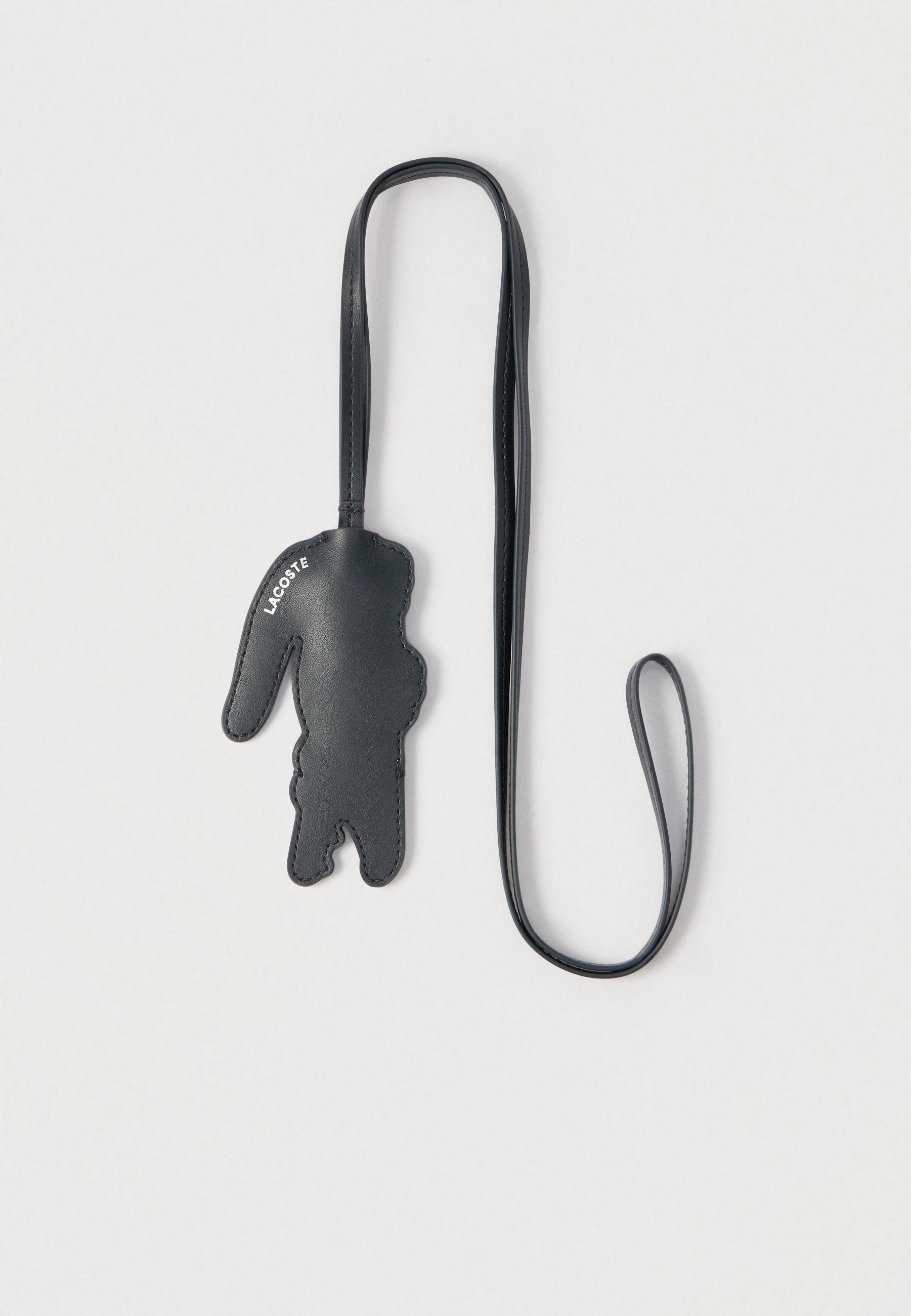 OTHER SMALL GOODS UNISEX - Keyring - anthracite