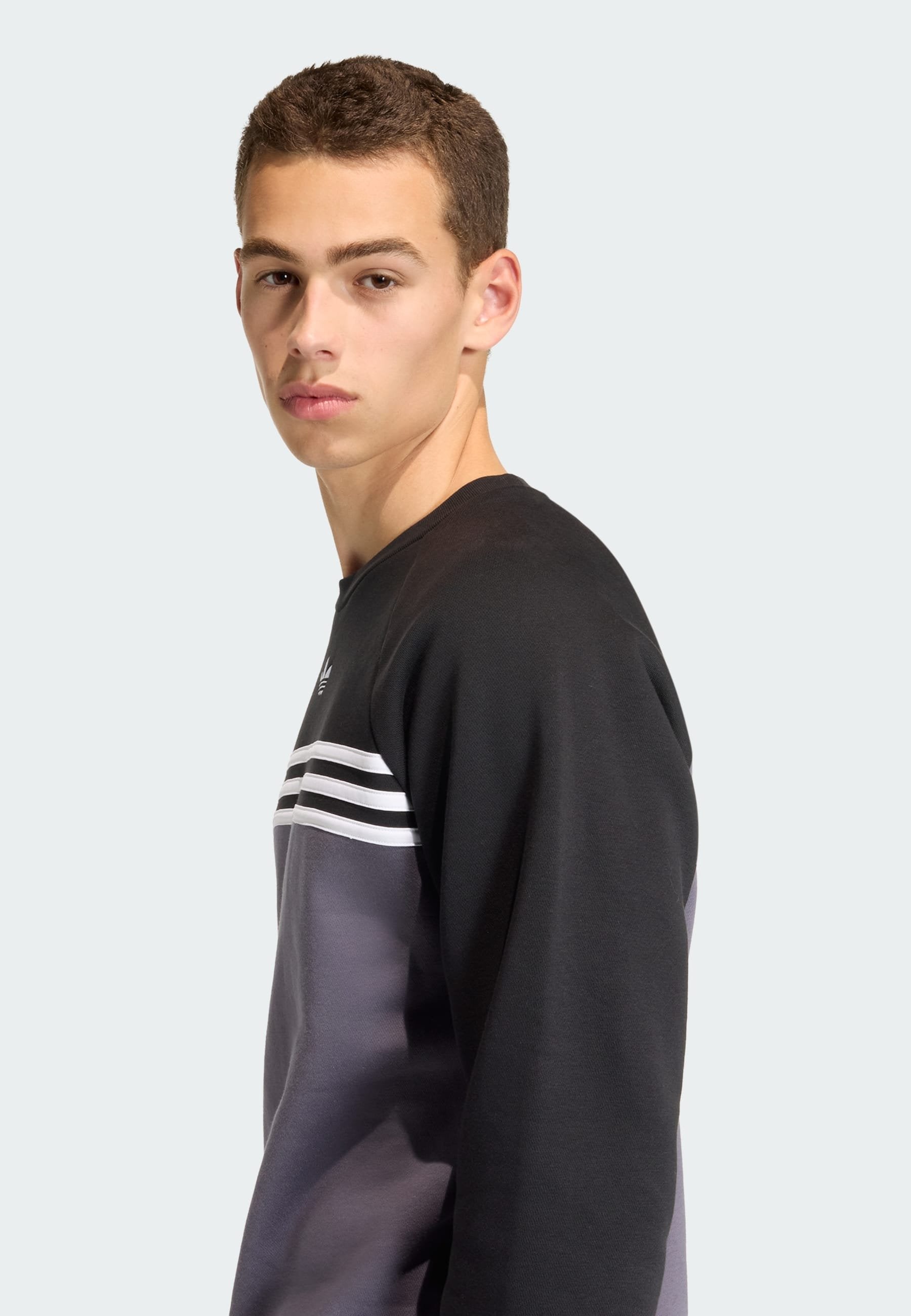 STRIPES CREW - Sweatshirt - aurora onix/black