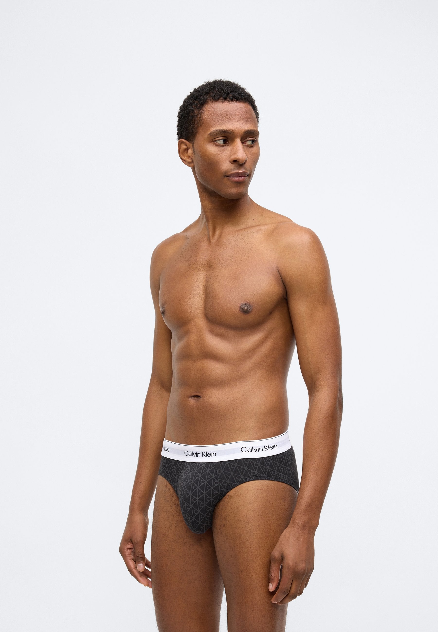 HIP BRIEF 3 PACK ICON COTTON STRETCH - Briefs - sleet/black/ashford