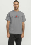 RDD Printed - Print T-shirt - frost gray