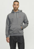 RDD Printed - Hoodie - grey melange