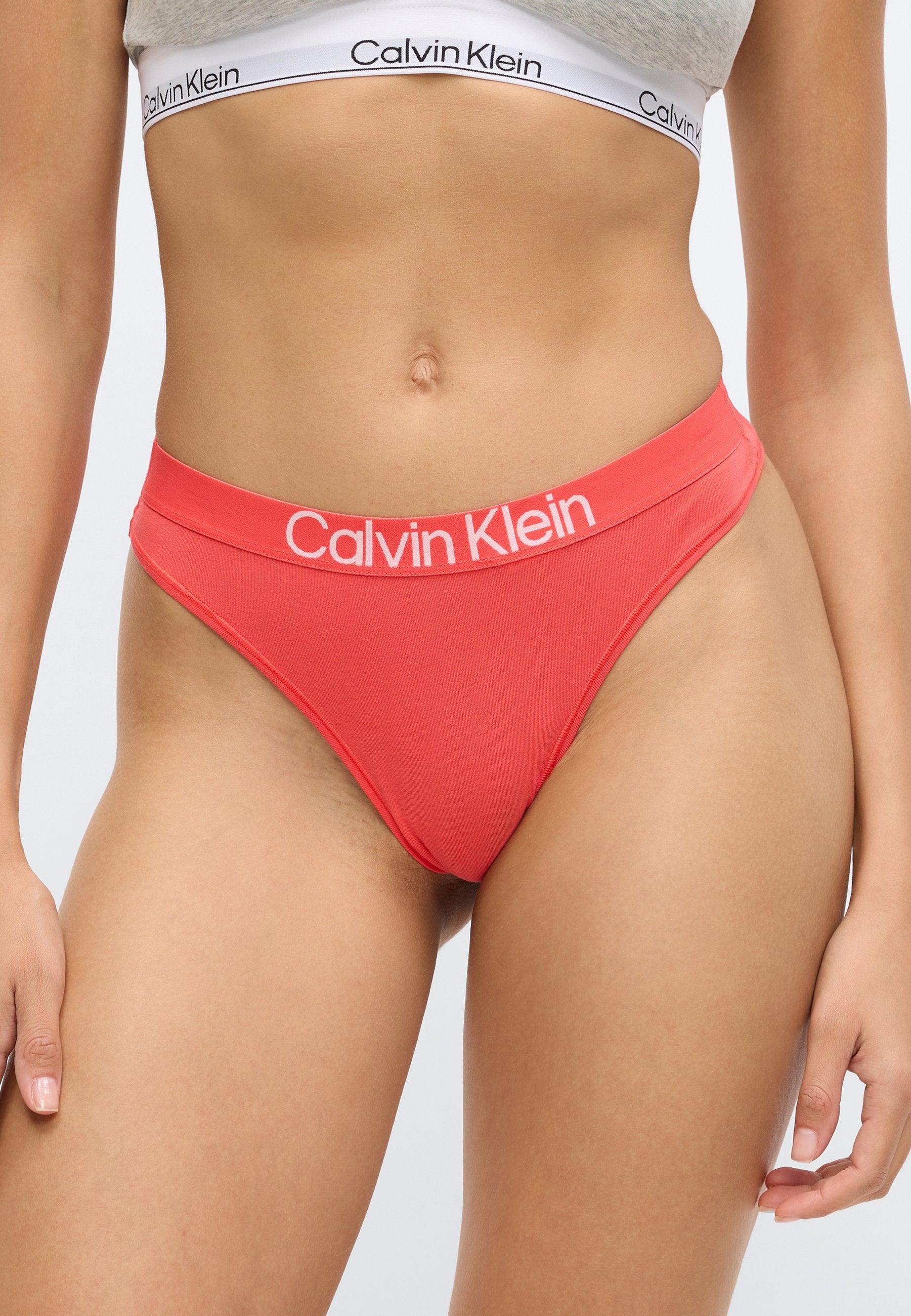 EXTRA SOFT 5 PACK - Thong - shoreline/breezy blue/grey heather