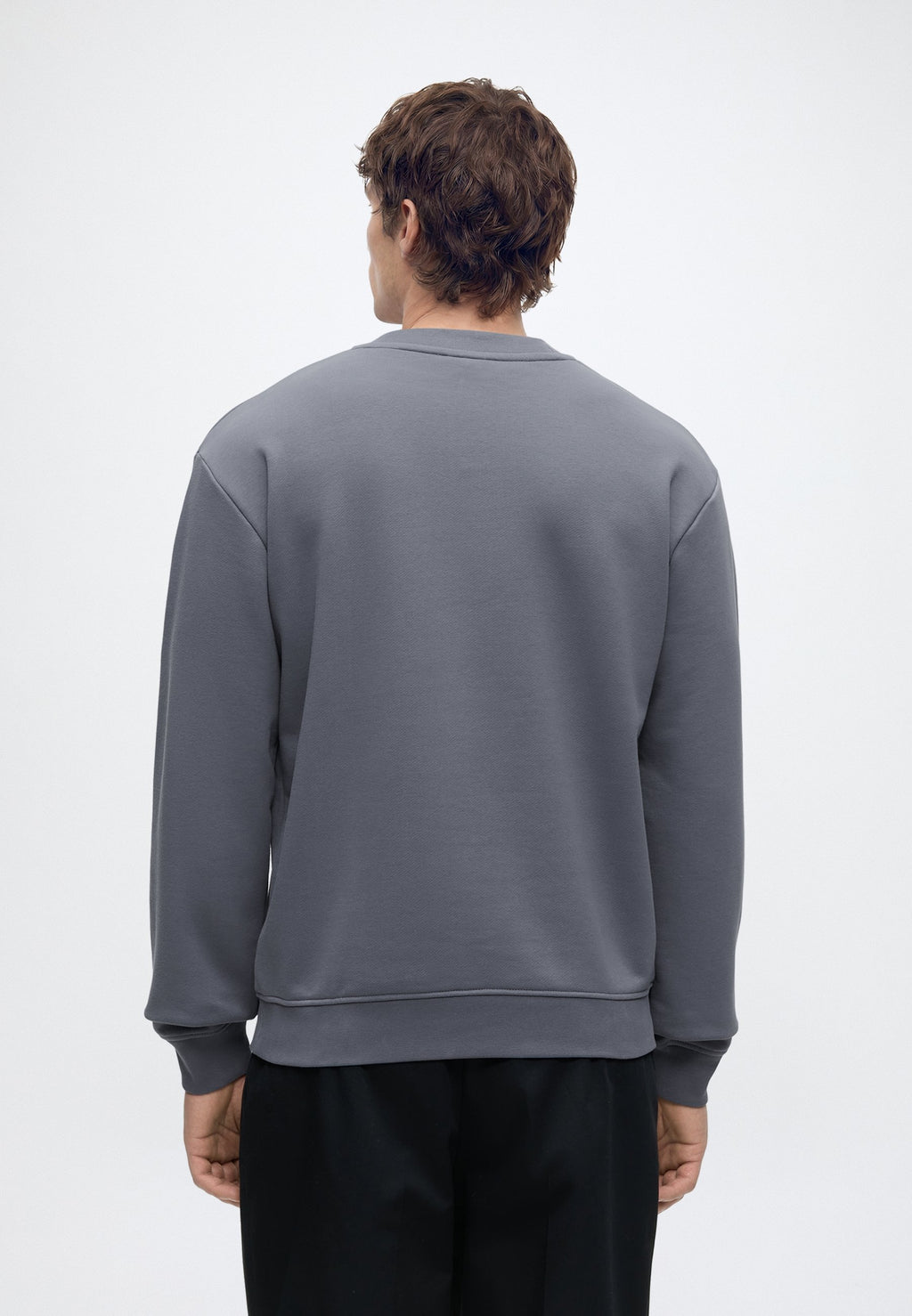 REG LOGO SWEAT - Sweatshirt - grisaille