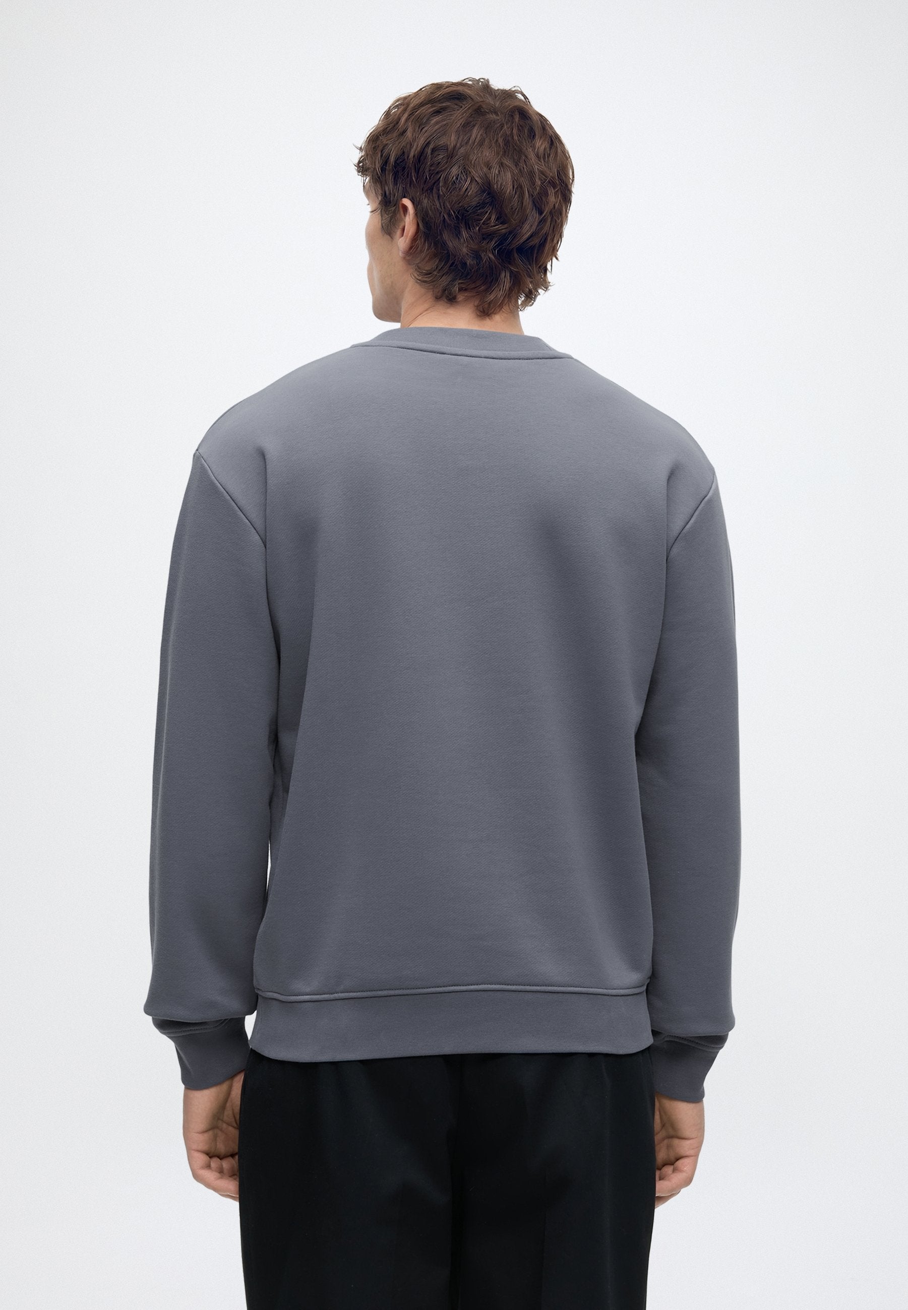 REG LOGO SWEAT - Sweatshirt - grisaille