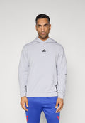 HOODIE - Hoodie - halo silver-coloured