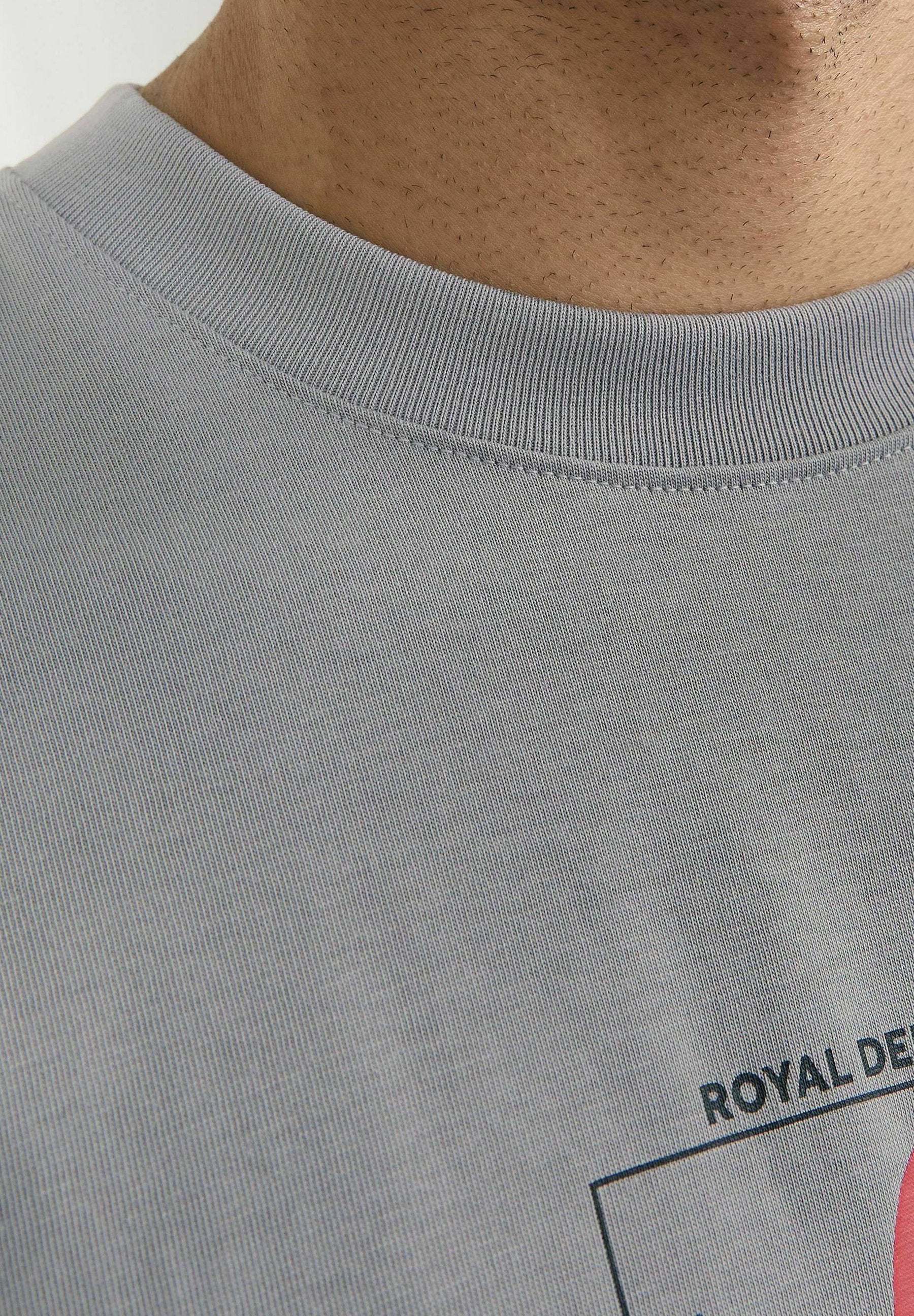 RDD Printed - Print T-shirt - frost gray