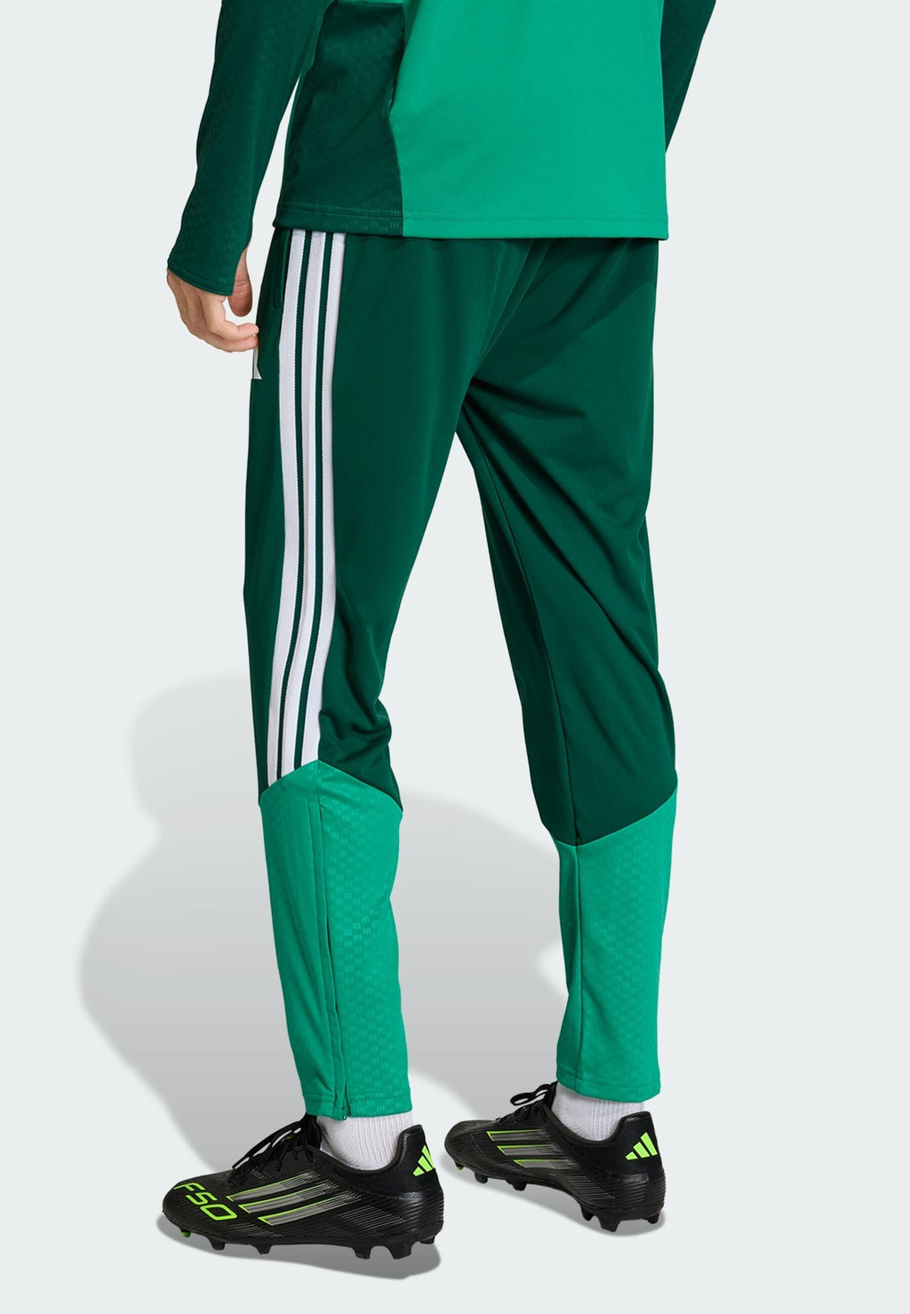 ALGERIA 26 TRAINING - National team wear - team dark green