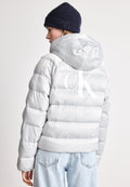LIGHTWEIGHT LOGO  - Winter jacket - quiet gray