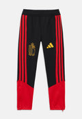 BELGIUM RBFA TRAINING PANT YOUTH UNISEX - Tracksuit bottoms - black