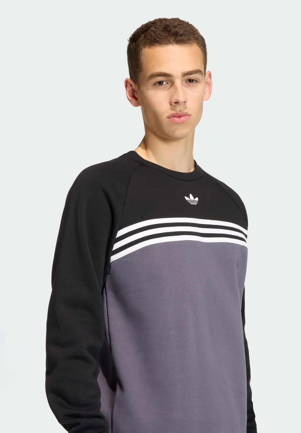 STRIPES CREW - Sweatshirt - aurora onix/black