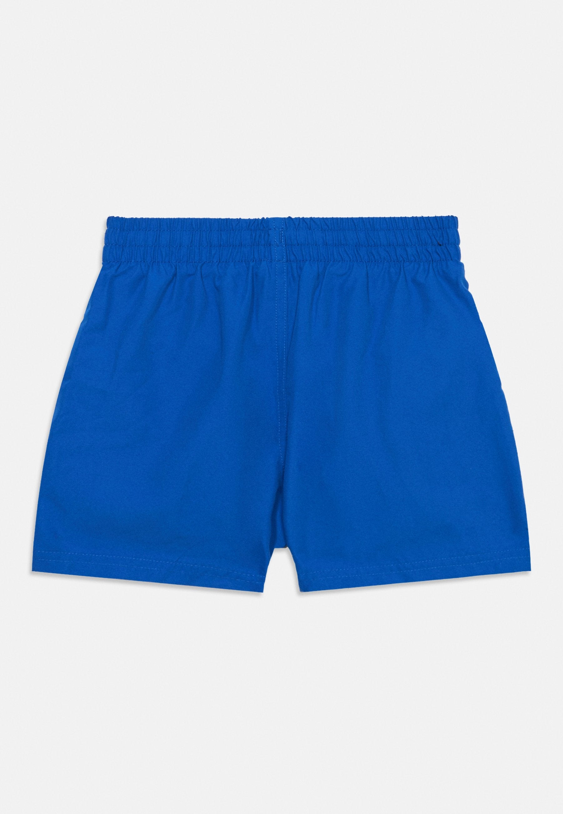 ESSENTIAL LAP VOLLEY UNISEX - Swimming shorts - game royal