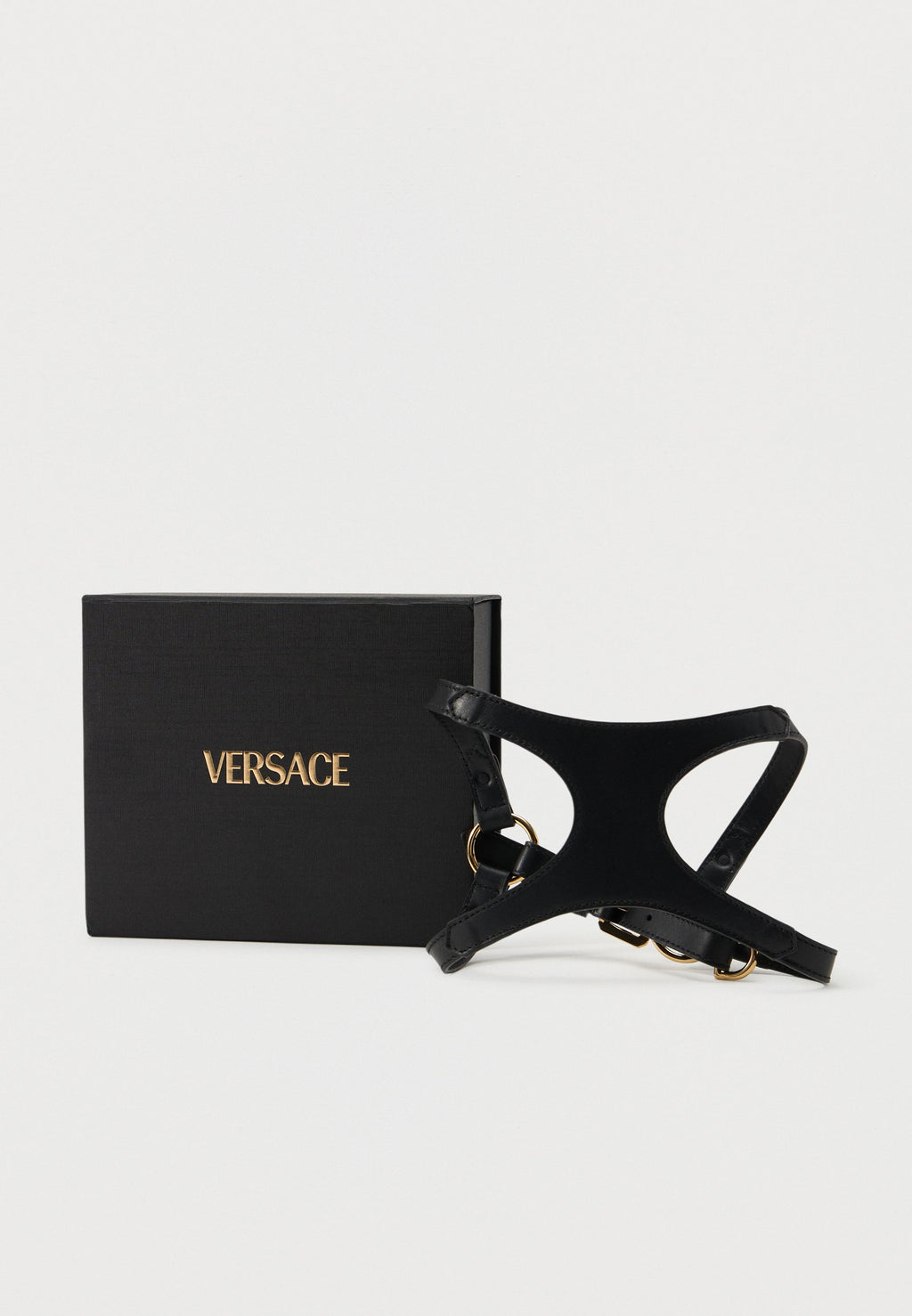 COLLAR AND LEASH ICON - Pet accessory - black