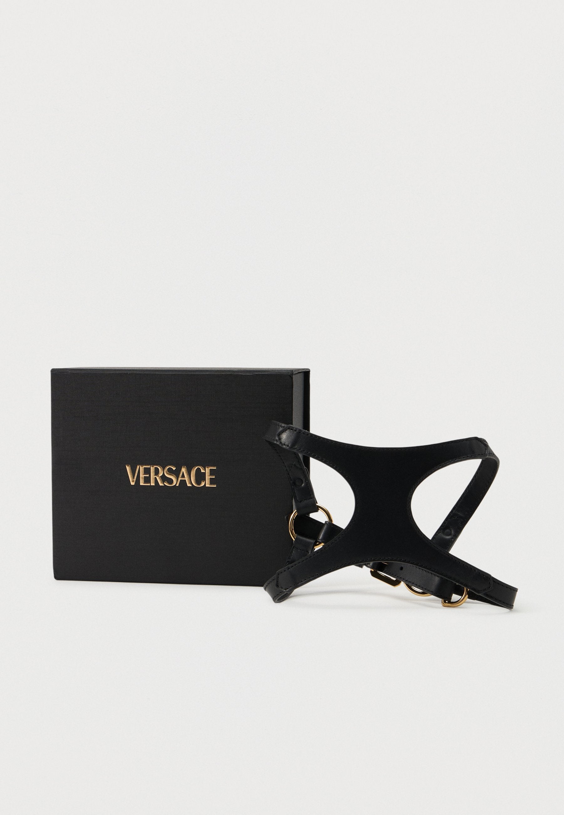 COLLAR AND LEASH ICON - Pet accessory - black